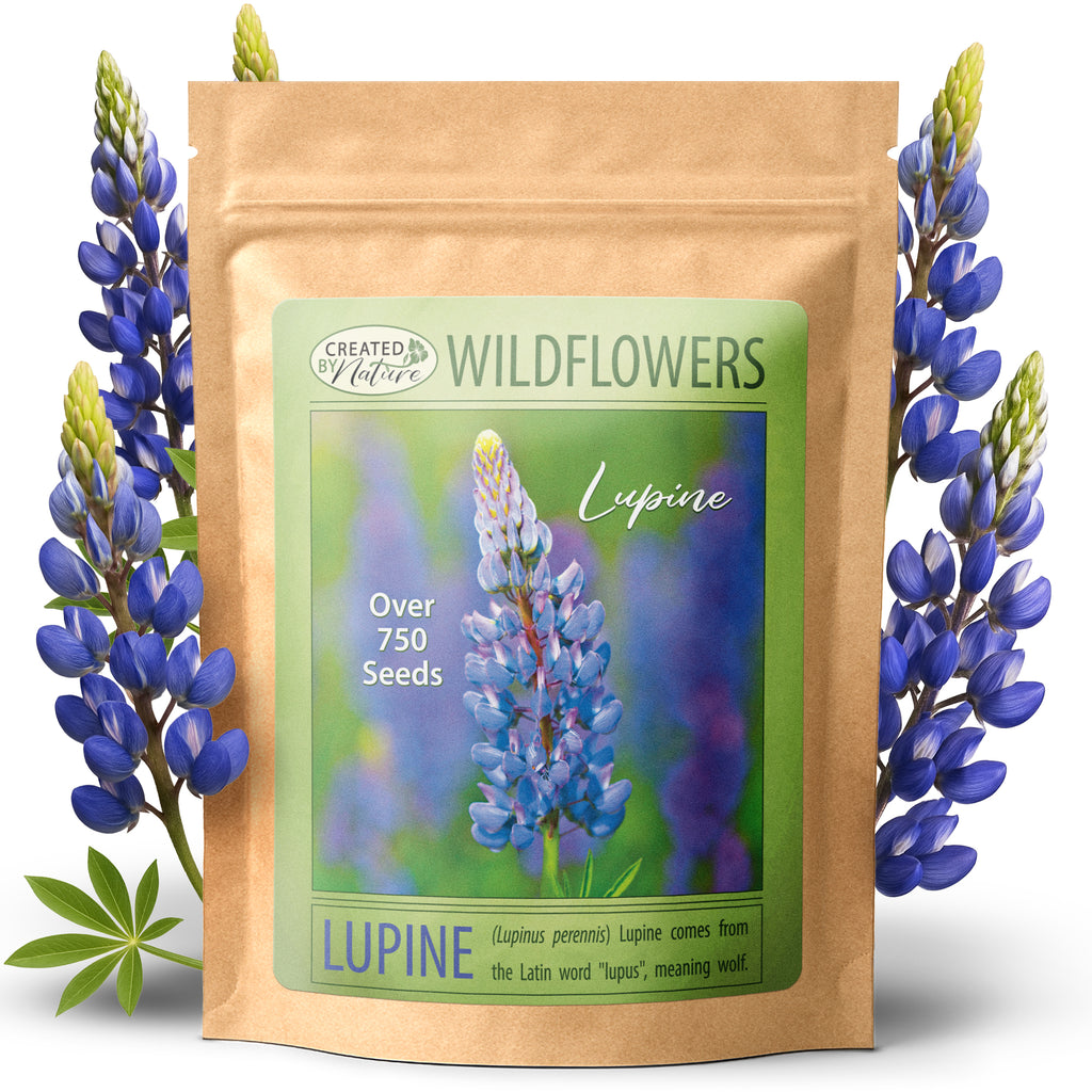 Minnesota Wildflower Seeds & Mixes | Created By Nature
