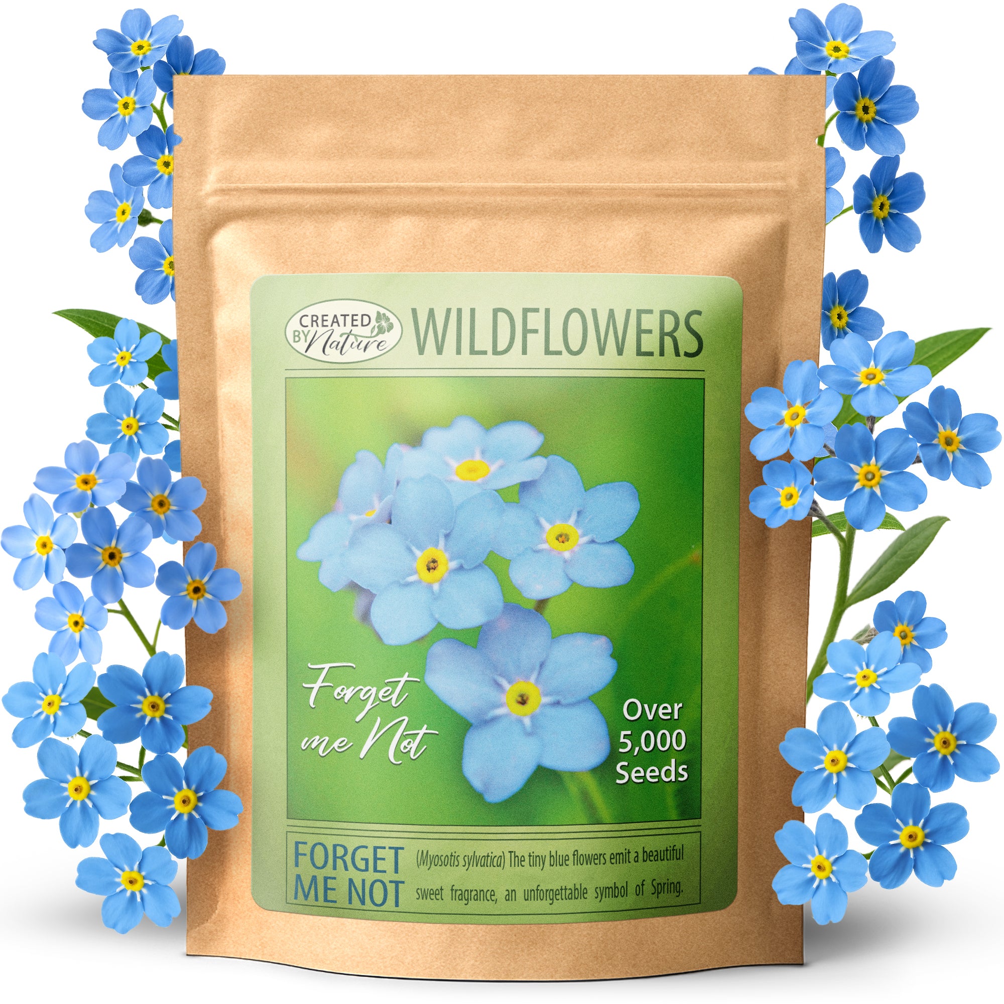 Florida Wildflower Seed Mix | Created By Nature
