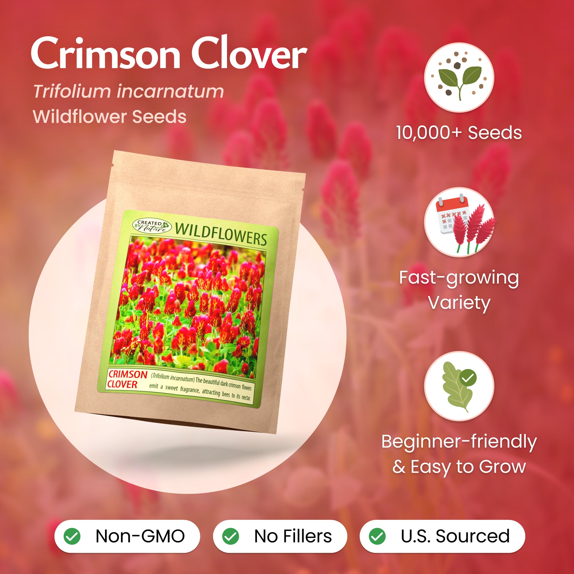 fastest growing wildflower seeds Crimson Clover Wildflower Seeds