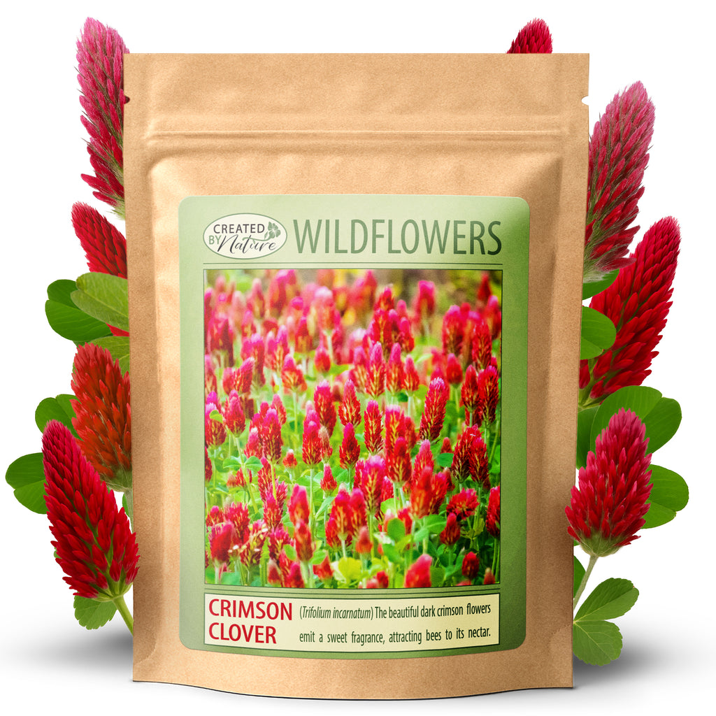 wildflower seeds south carolina South Carolina Wildflower Seed Mix