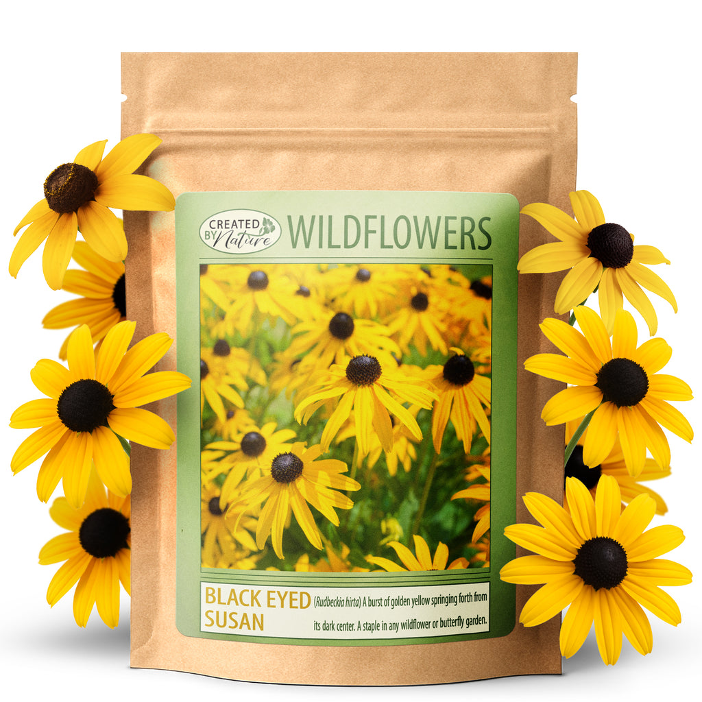 florida native plant seeds for sale Florida Wildflower Seed Mix