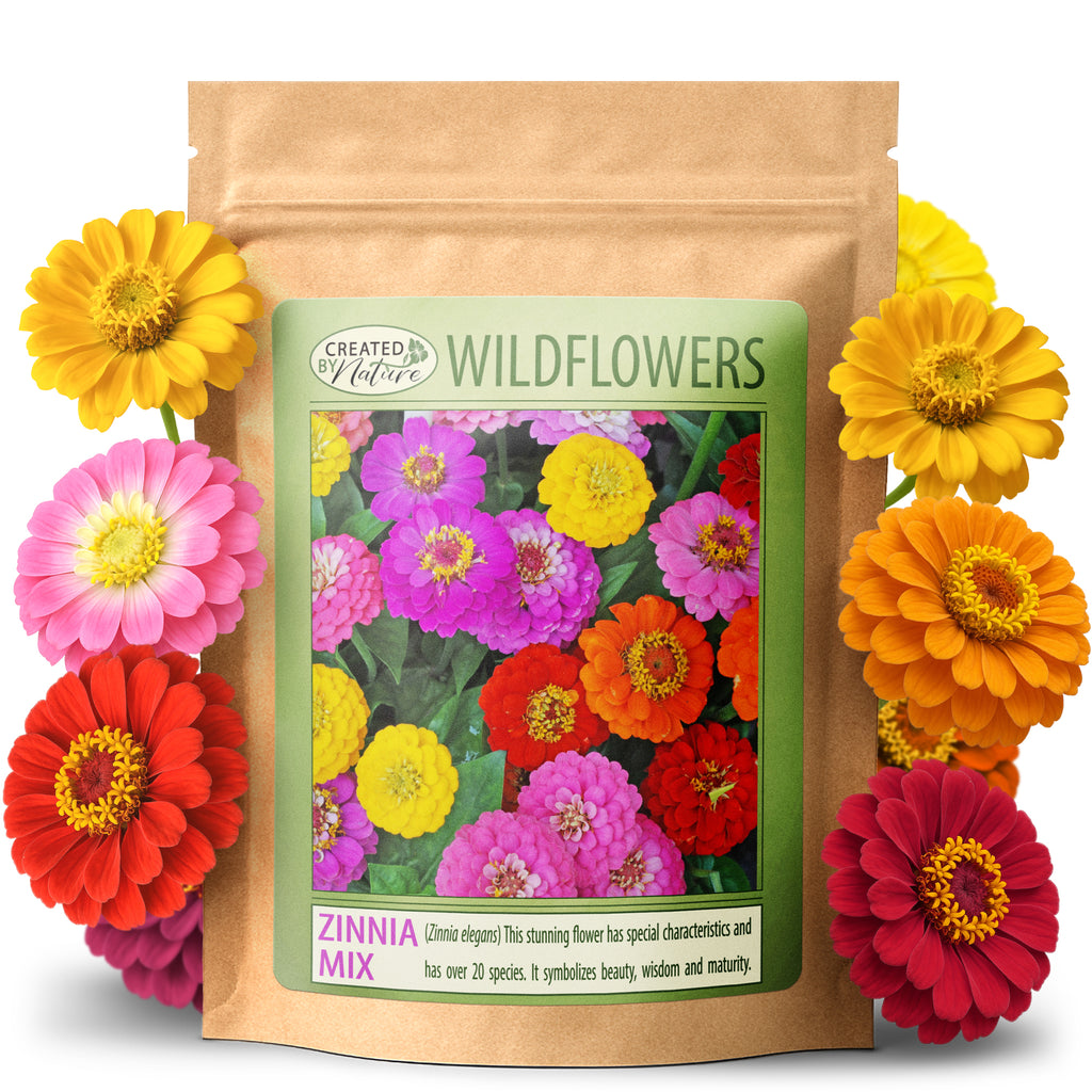 wildflower seeds new jersey New Jersey Wildflower Seed Mix