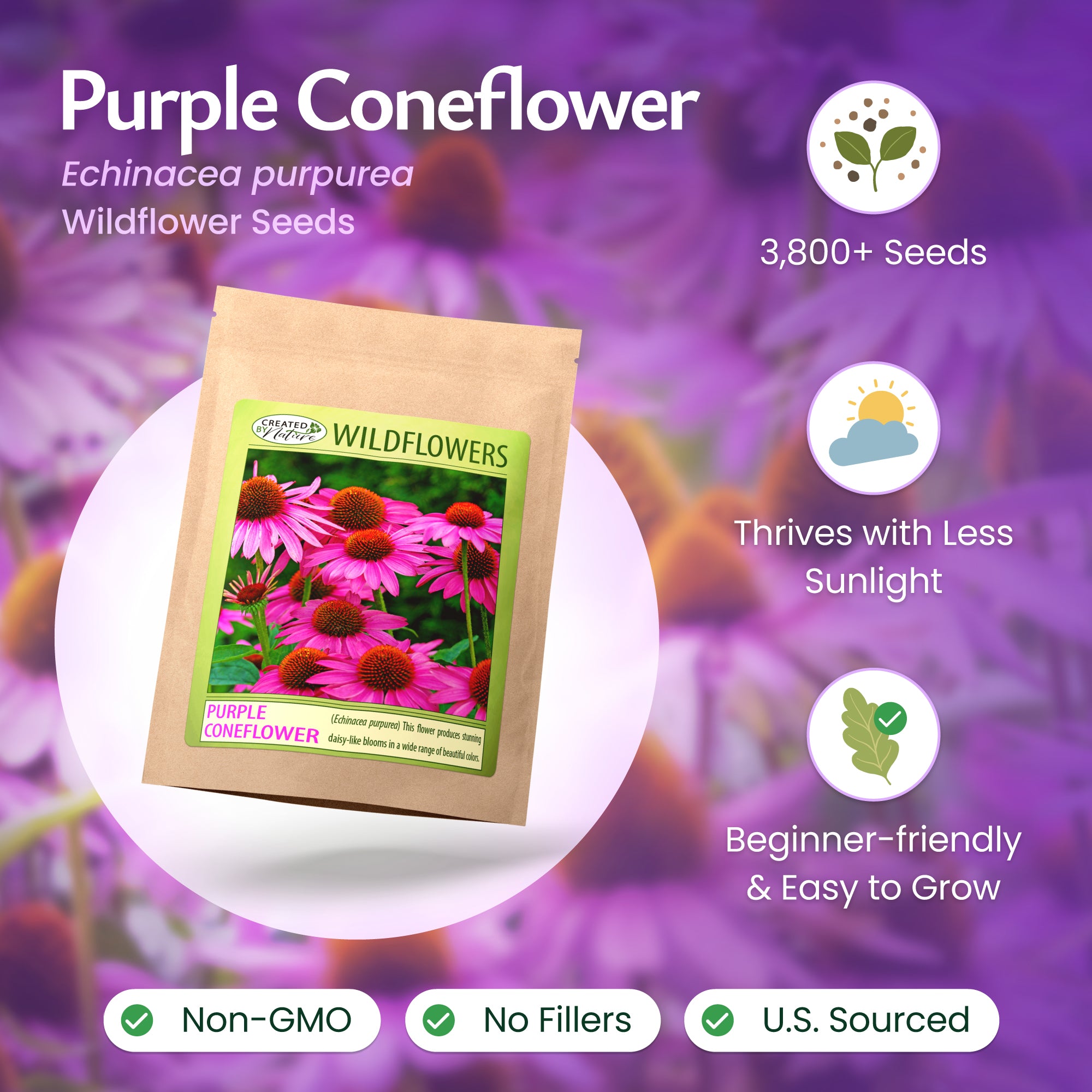 echinacea coneflower seeds Created By Nature Purple Coneflower Seeds, 3,800 Perennial Flower Seeds, Deer-Resistant Perennial Wildflower Seeds