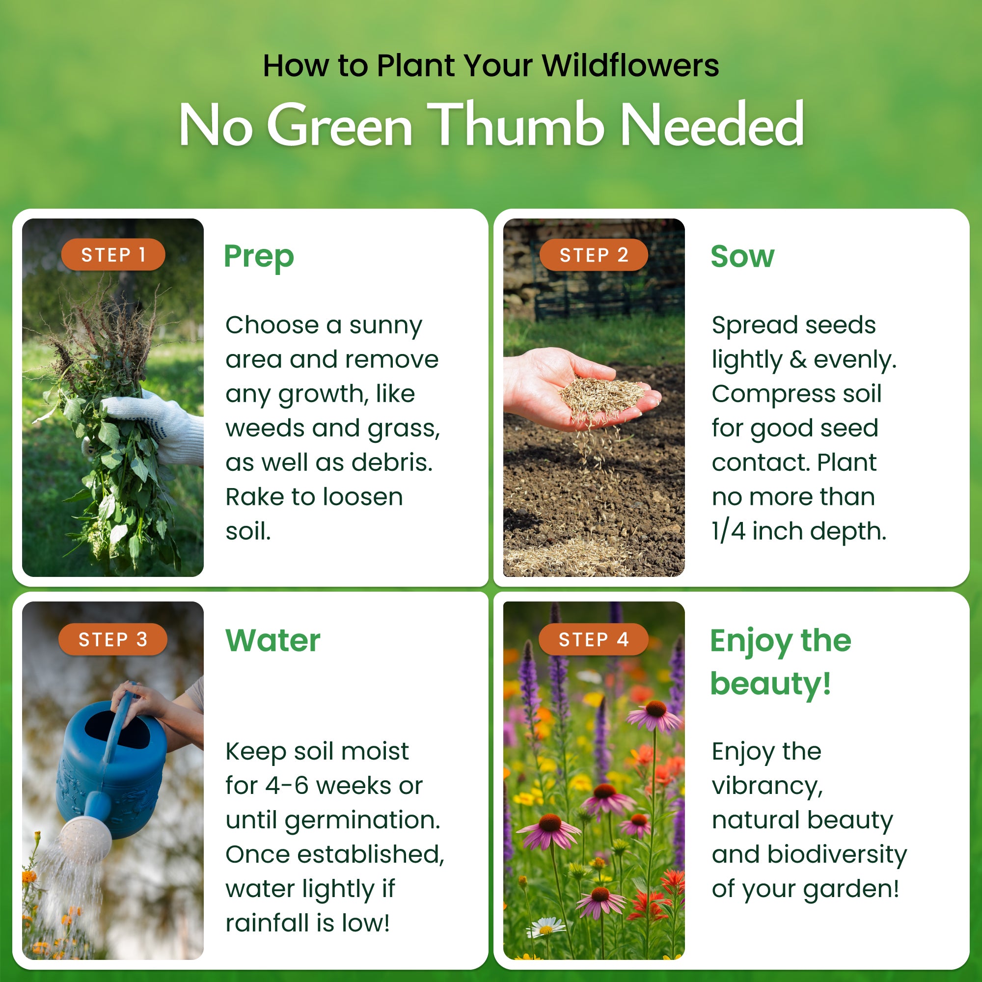 Created By Nature Illinois Wildflower Seed Mix, 16 Flower Varieties, 40,000 Wildflower Seeds