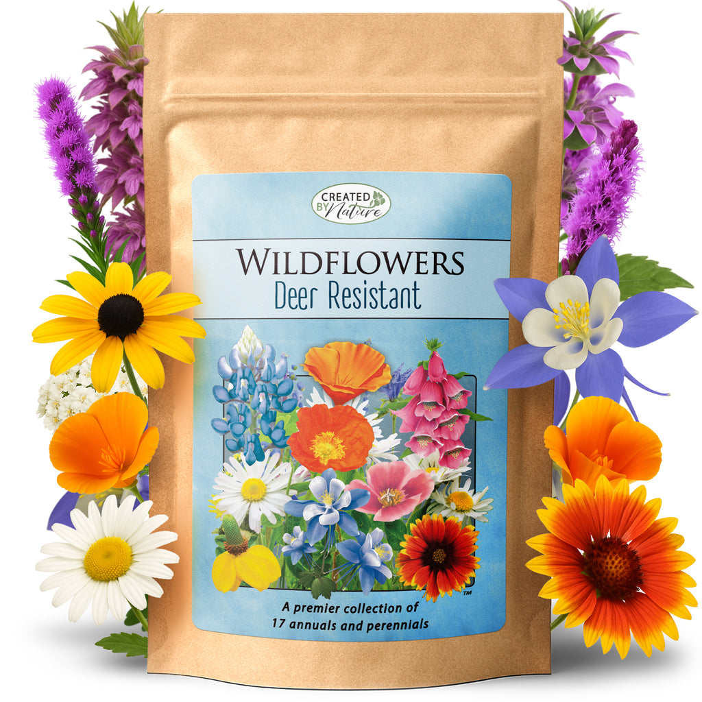 wisconsin native wildflower seed mix Wisconsin Wildflower Seed Mix