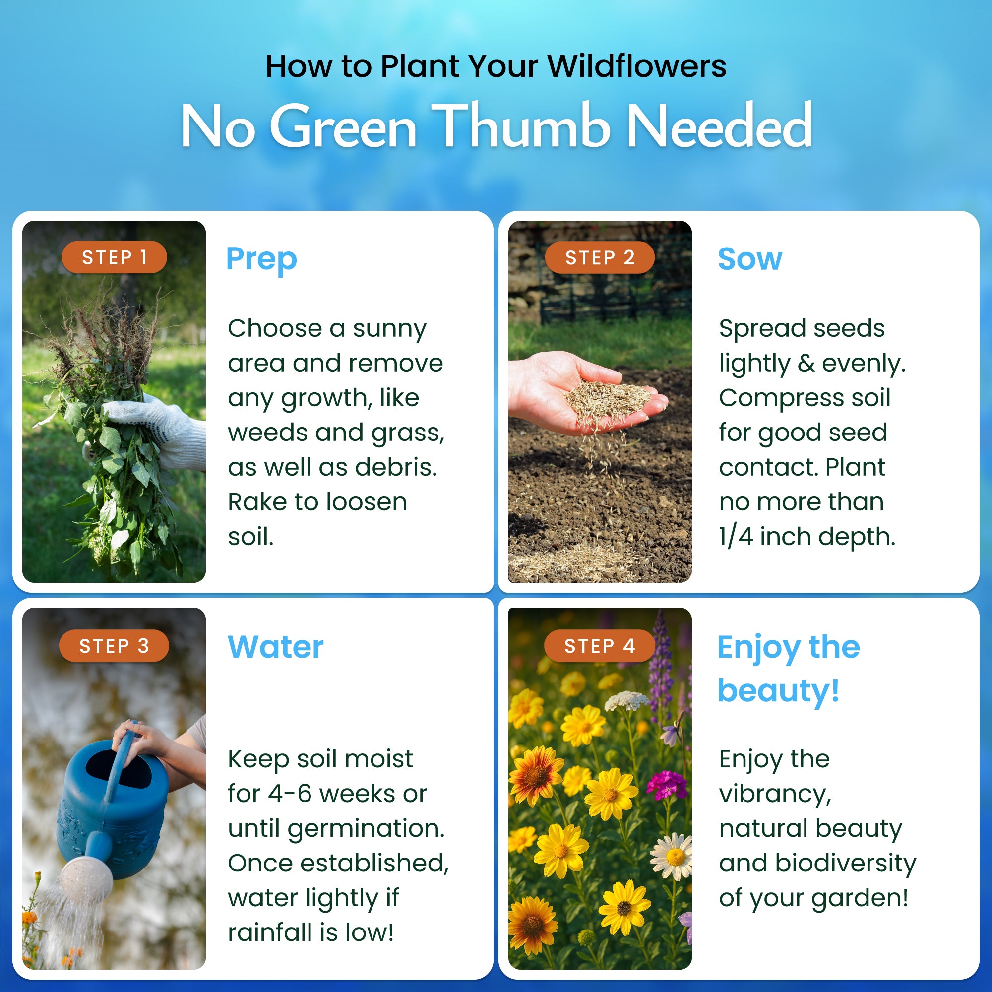 Deer Resistant Wildflower Seed Mix | Wildflower Seeds for Gardens
