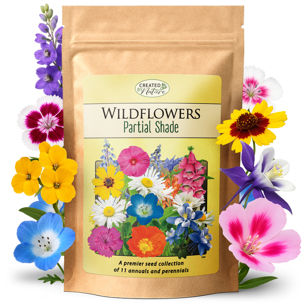 wildflower seeds kansas Kansas Wildflower Seed Mix