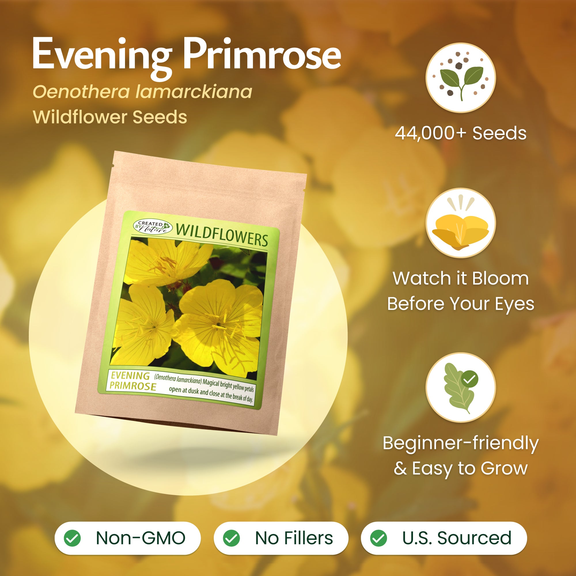 Nebraska Wildflower Seeds | Created By Nature