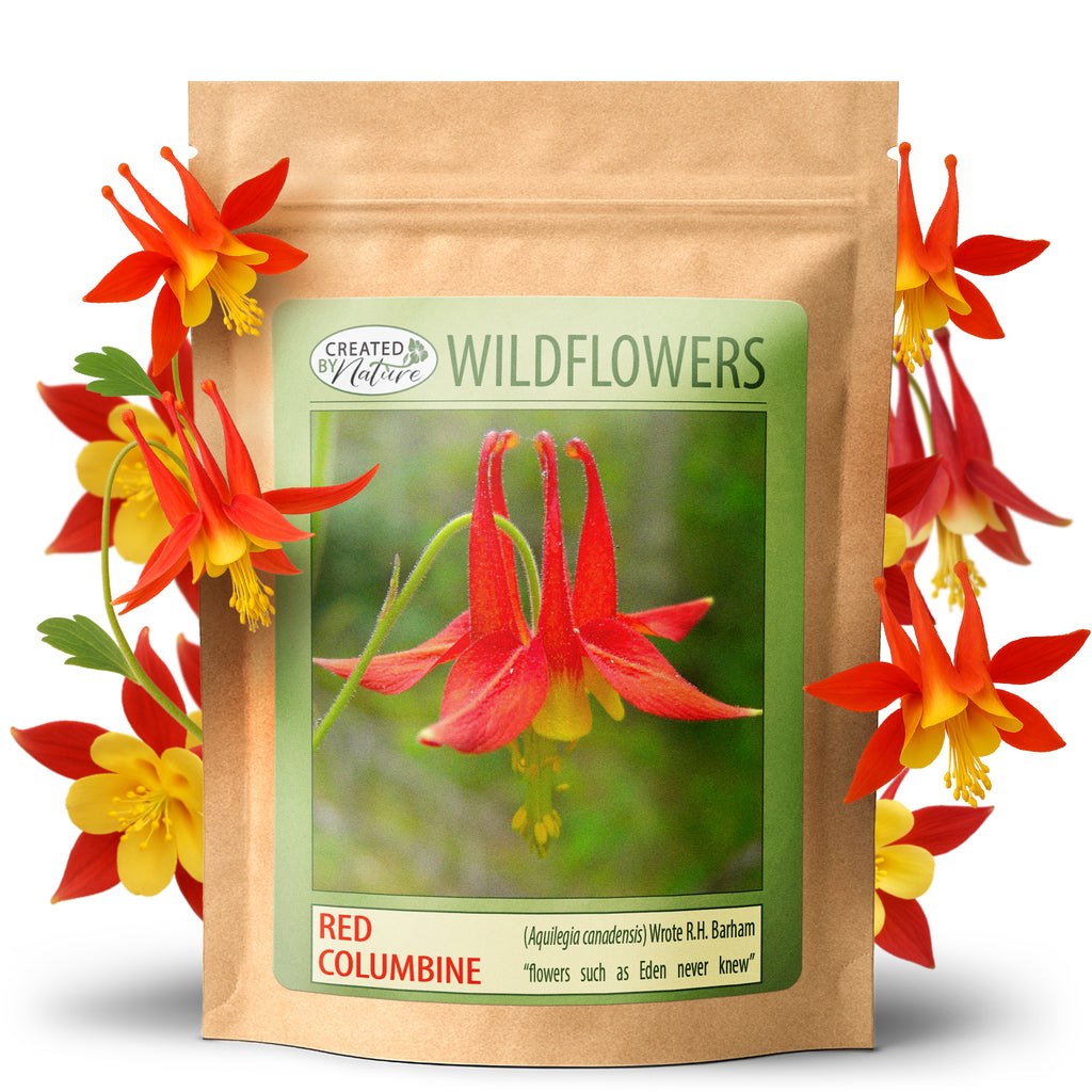 best wildflower seeds for minnesota Minnesota Wildflower Seed Mix