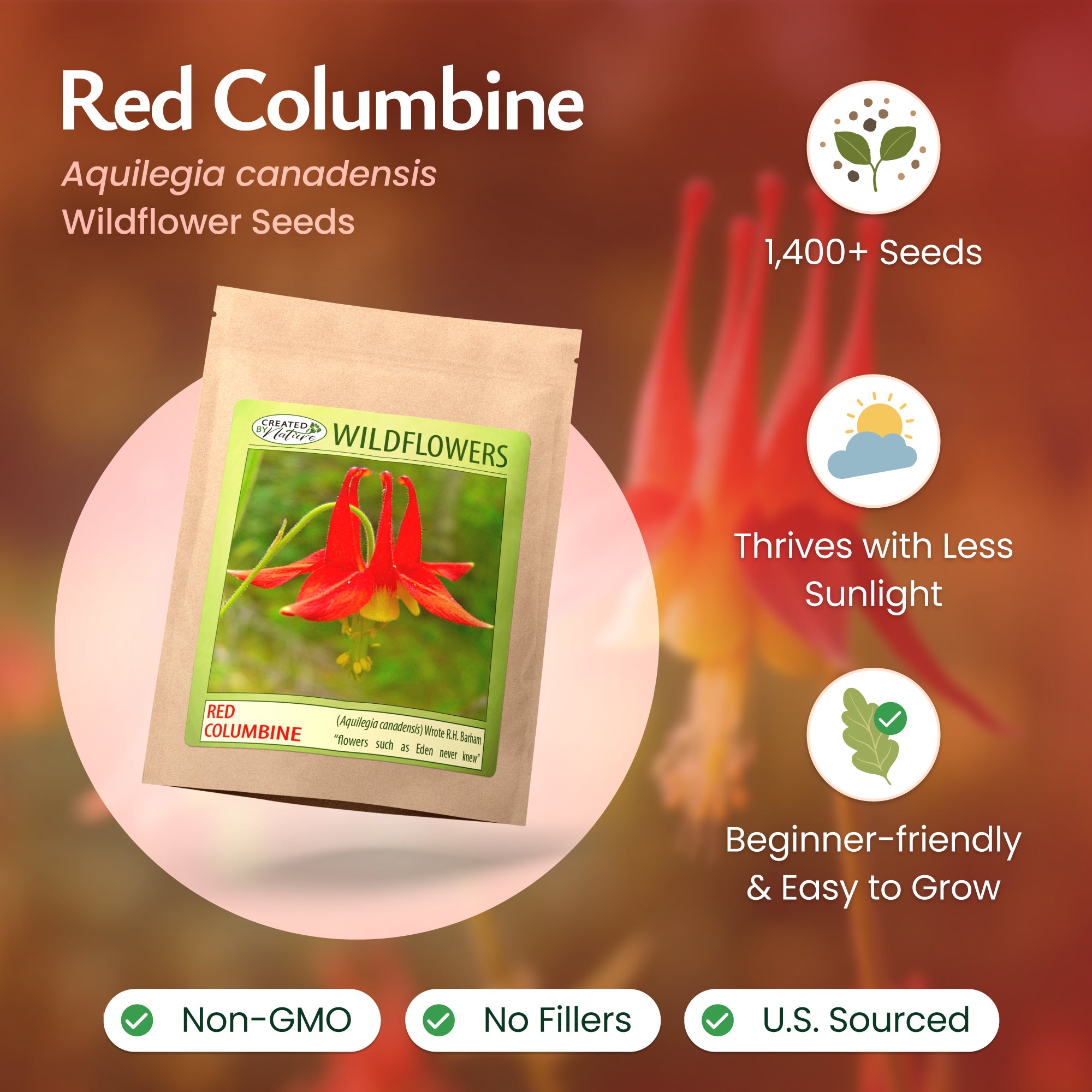 aquilegia flower seeds Red Columbine Wildflower Seeds