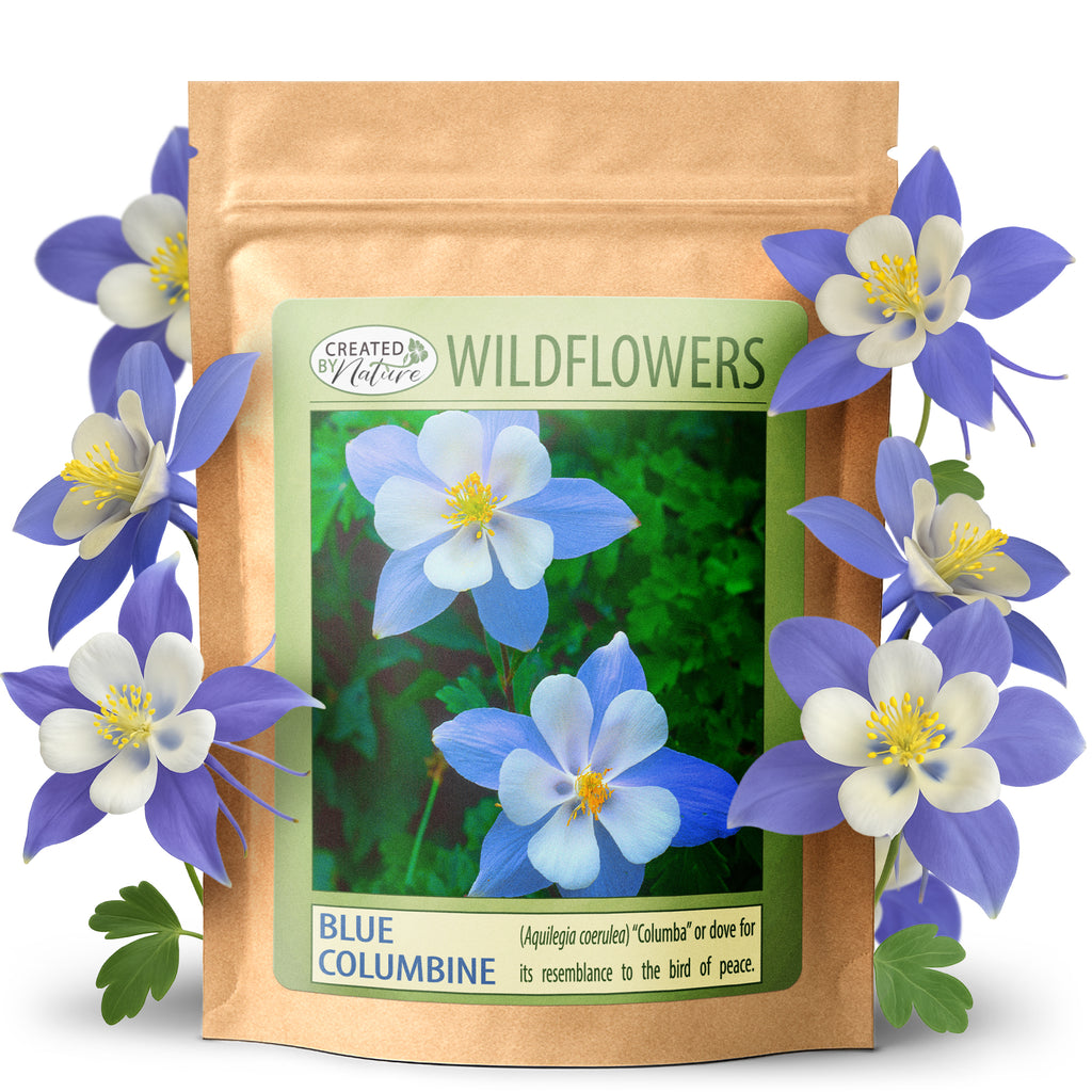 Louisiana Wildflower Seed Mix