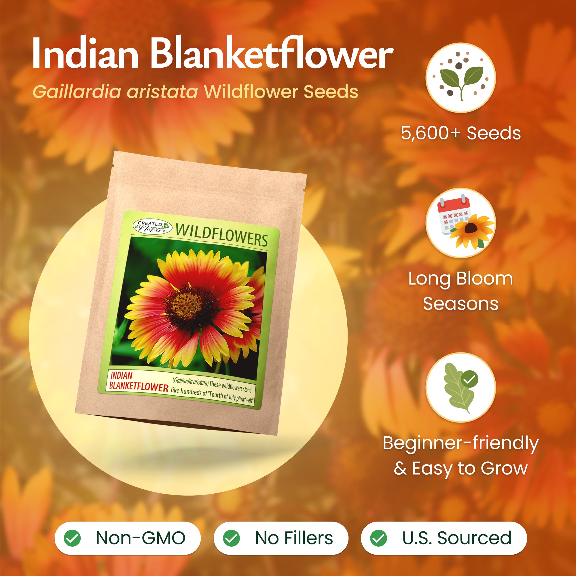 saving blanket flower seeds Created By Nature Indian Blanketflower Seeds, 5,640 Perennial Seeds