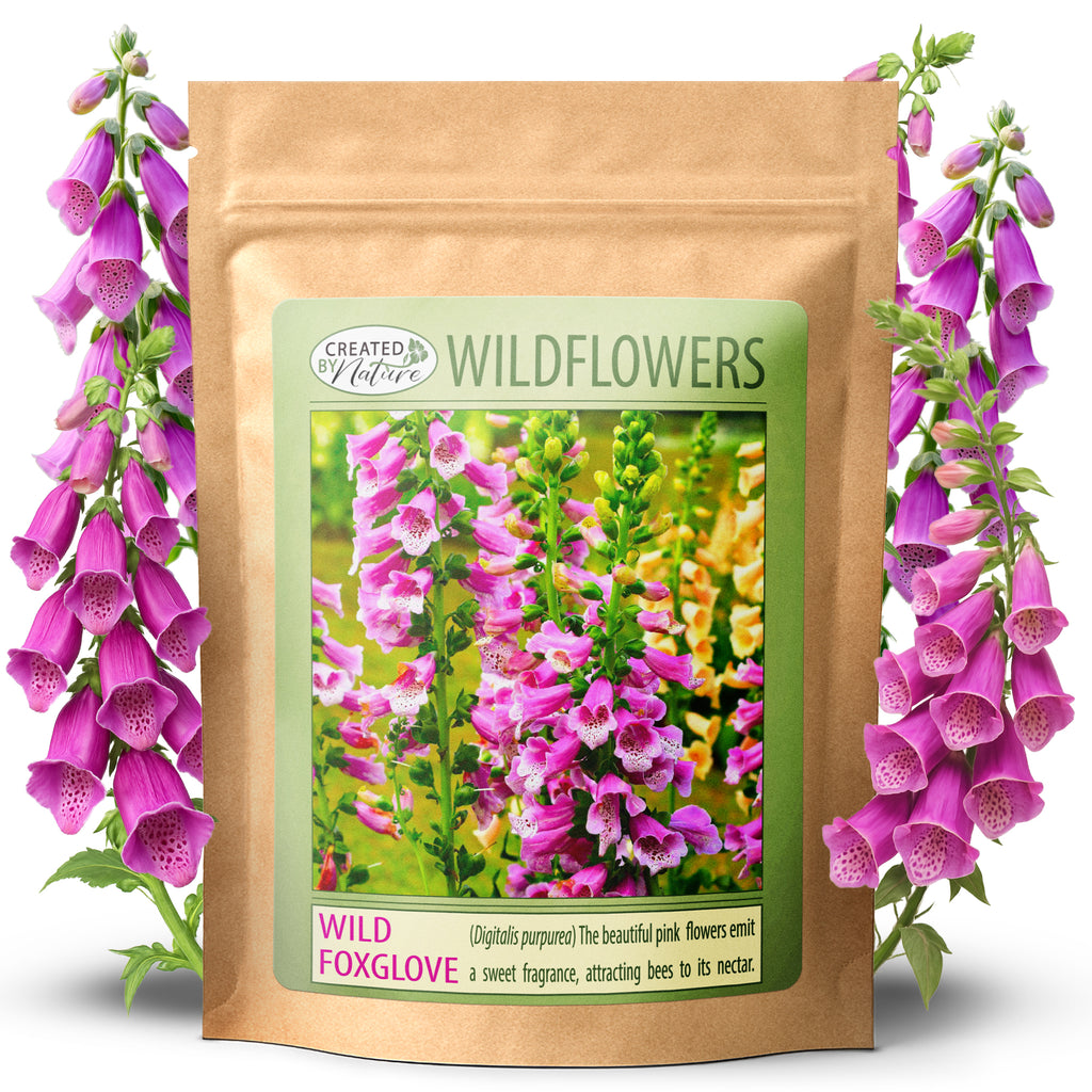 Louisiana Wildflower Seed Mix