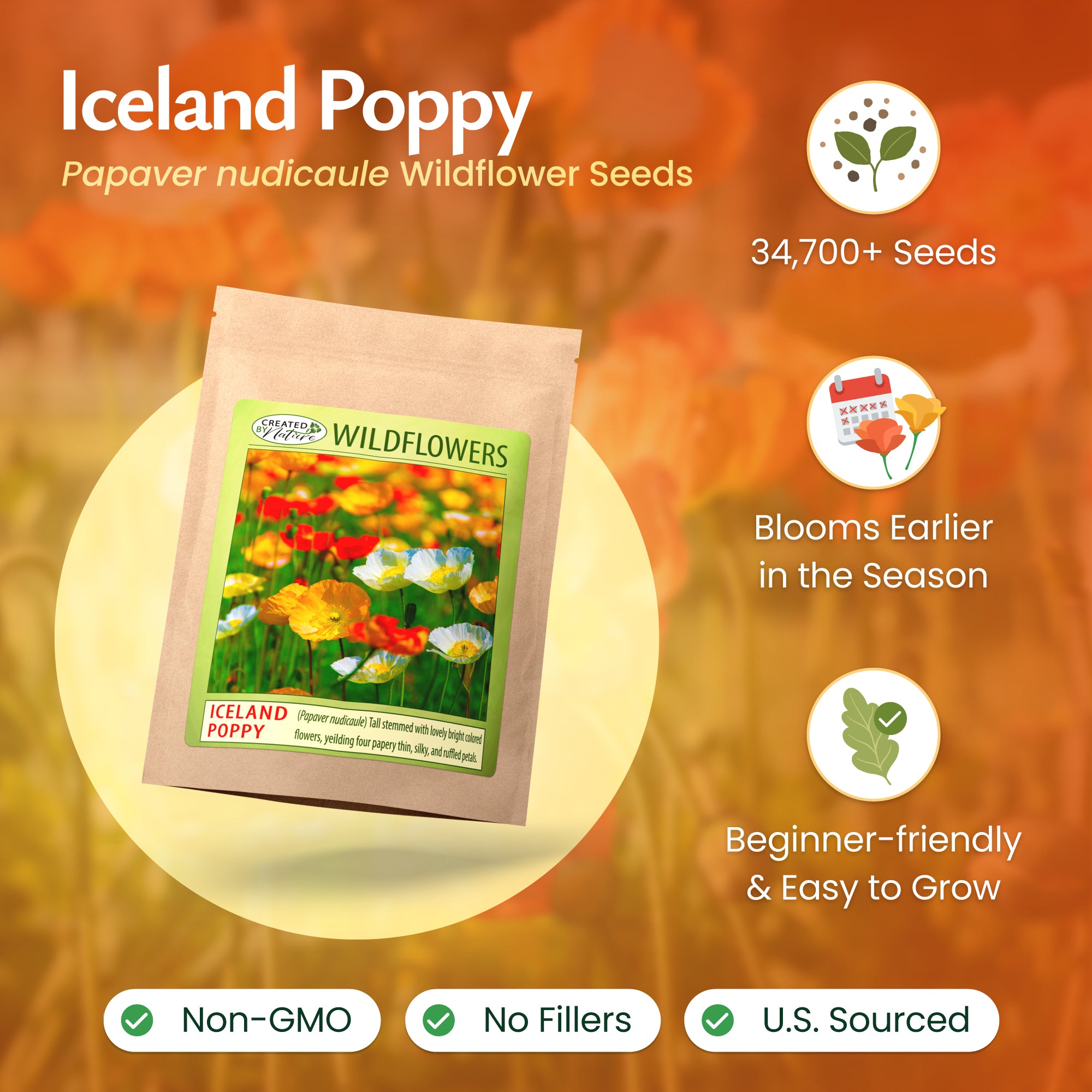 lidl flower seeds Iceland Poppy Seeds