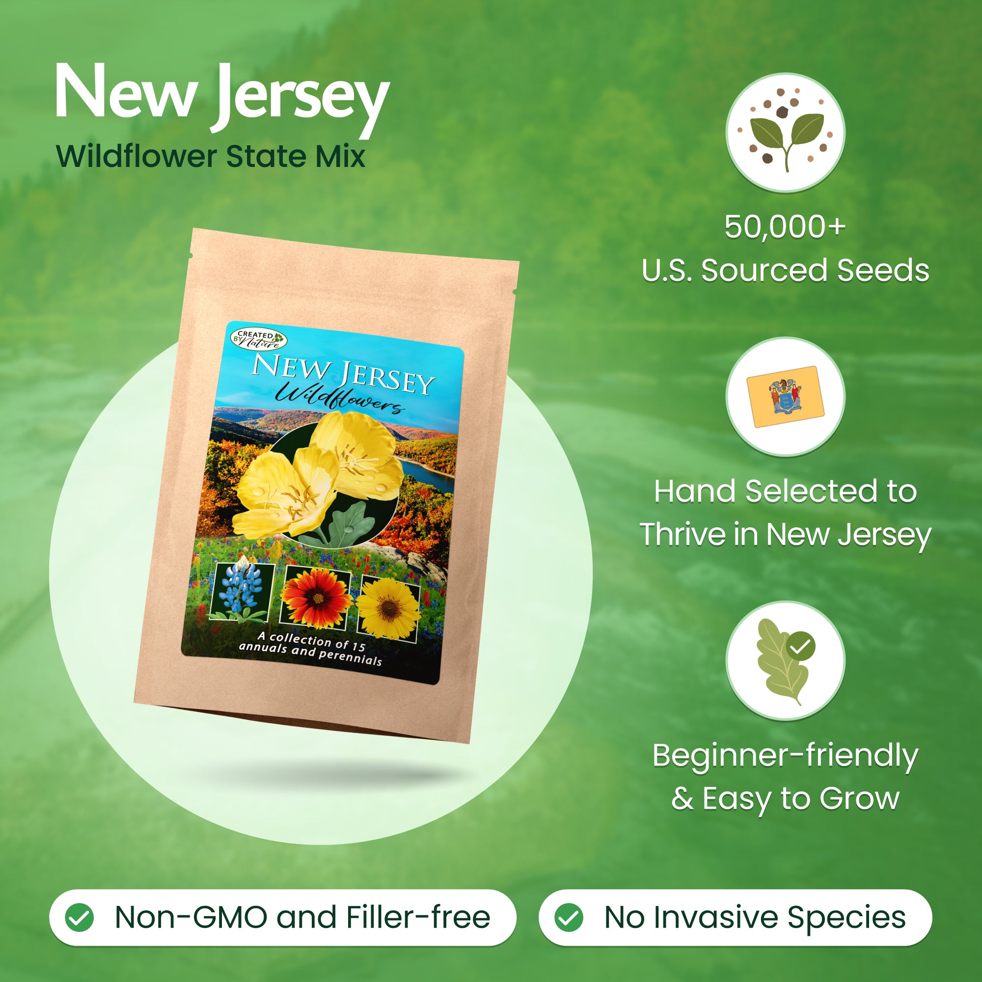New Jersey Wildflower Seed Mix | Wildflower Seeds for New Jersey