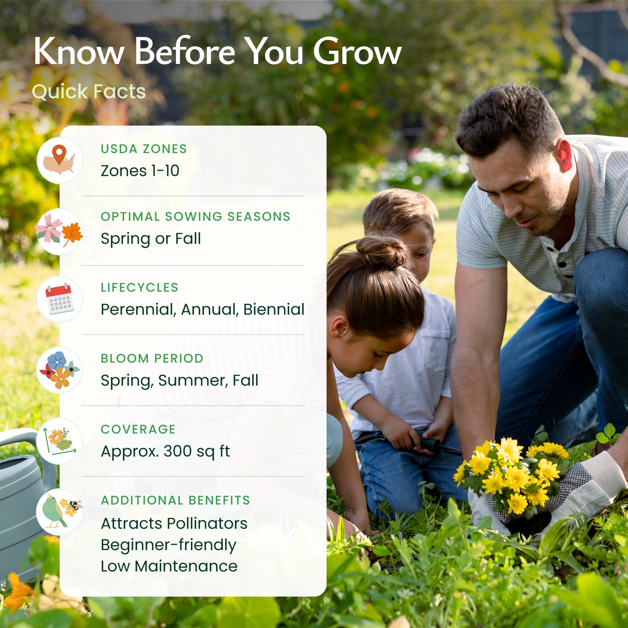 New Jersey Wildflower Seed Mix | Wildflower Seeds for New Jersey
