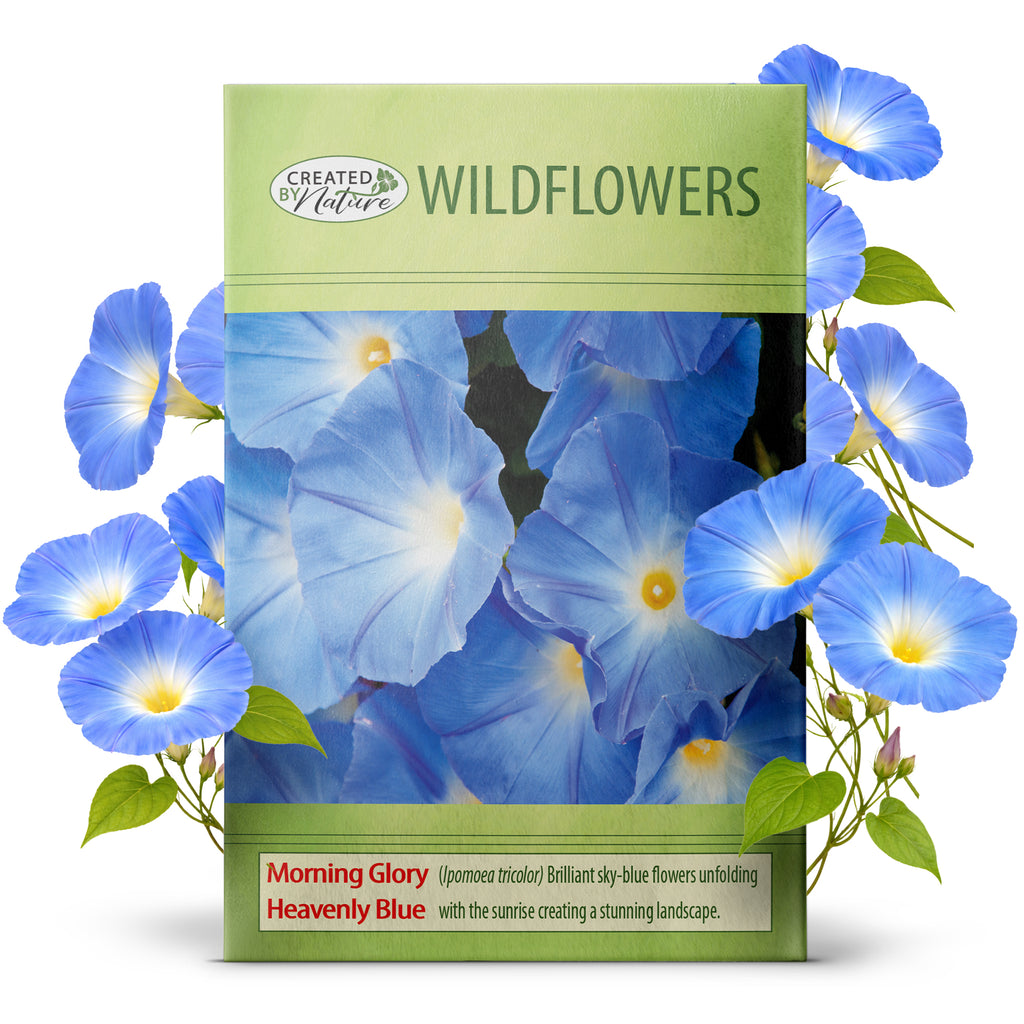 native wildflower seeds south carolina South Carolina Wildflower Seed Mix