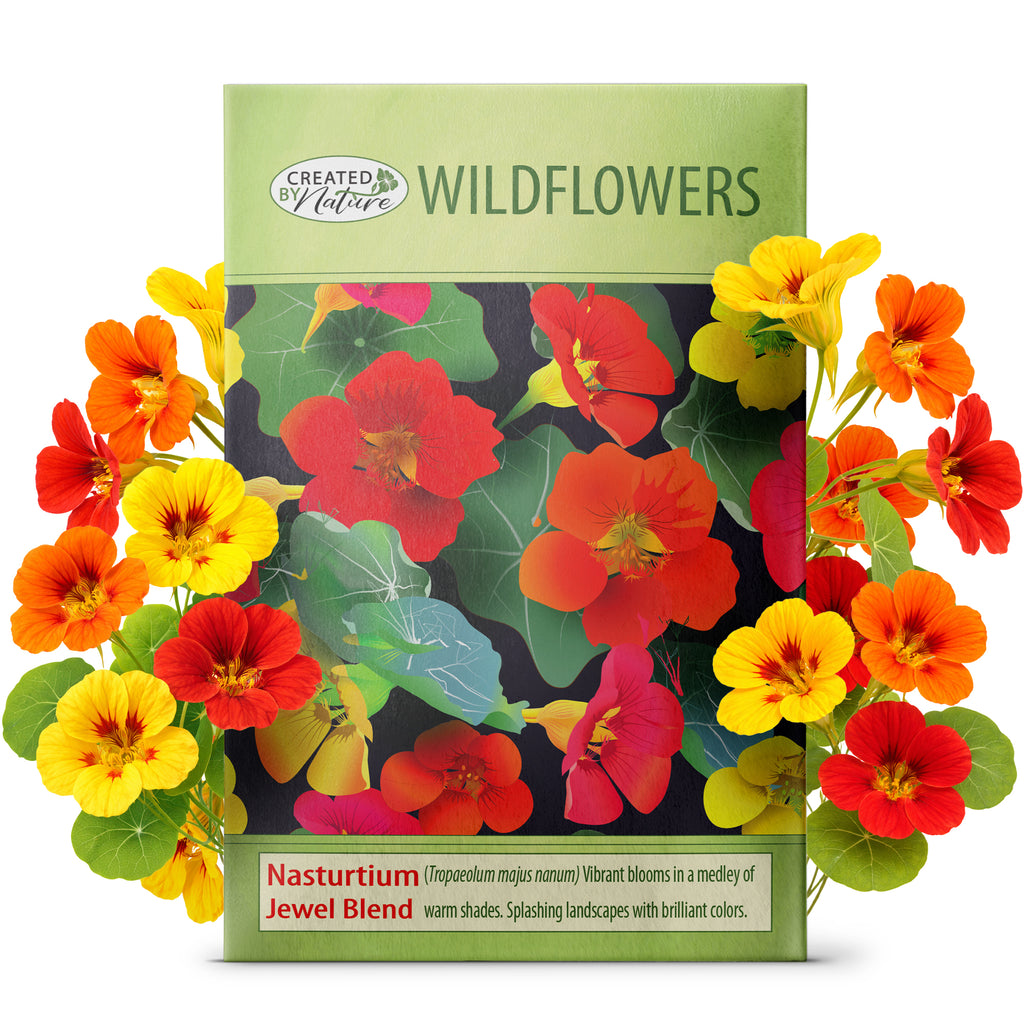 Virginia Wildflower Seed Mix