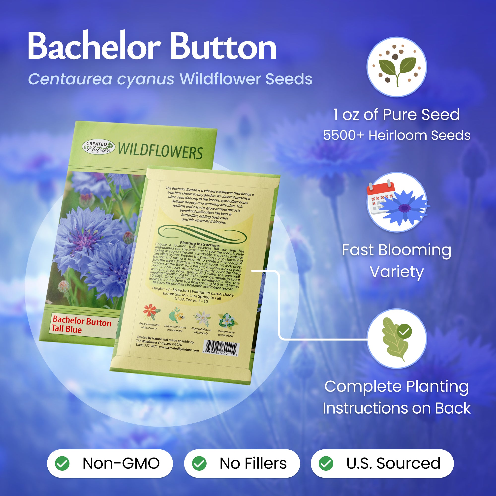 quick blooming flower seeds Bachelor Button Tall Blue Wildflower Seeds