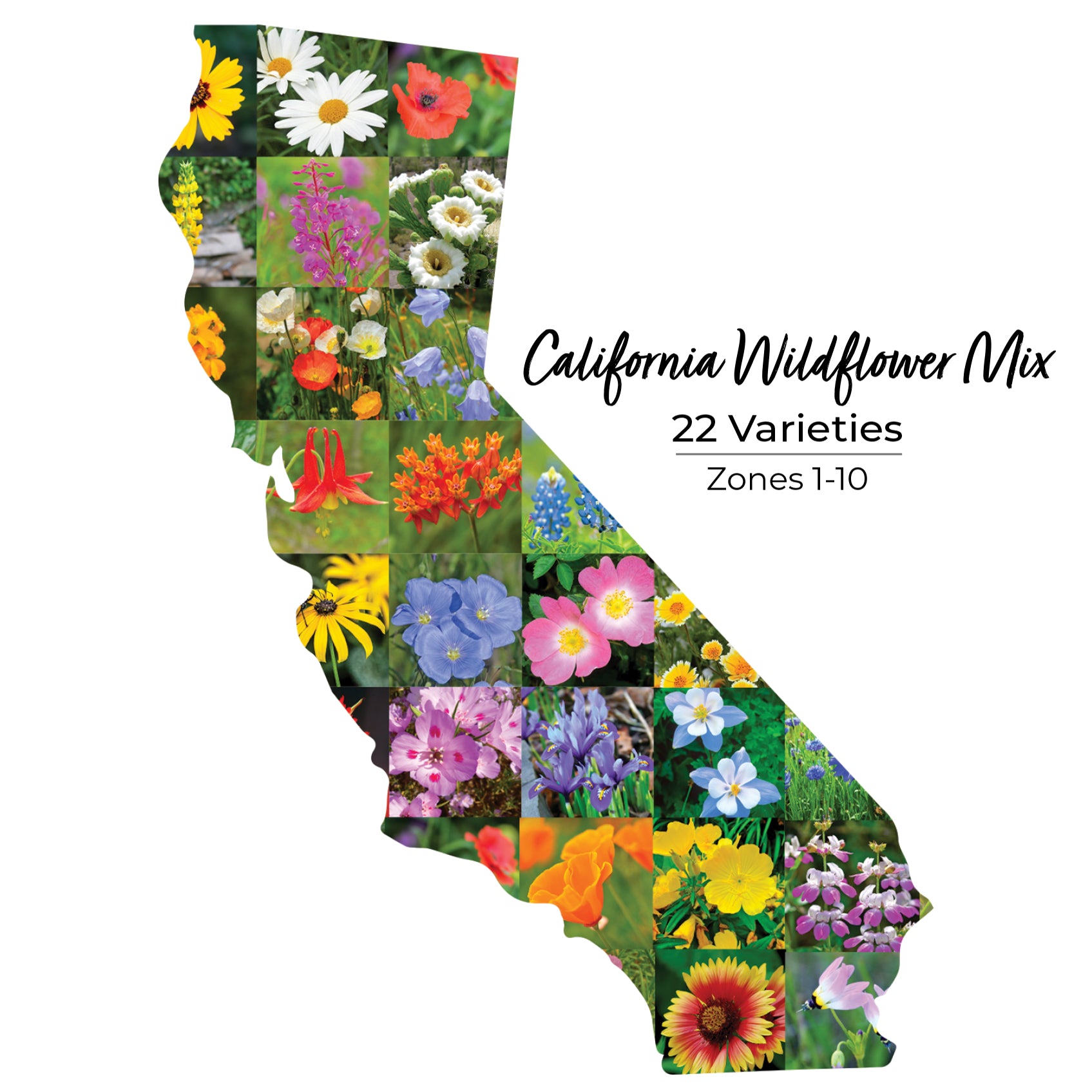 California Wildflower Mix