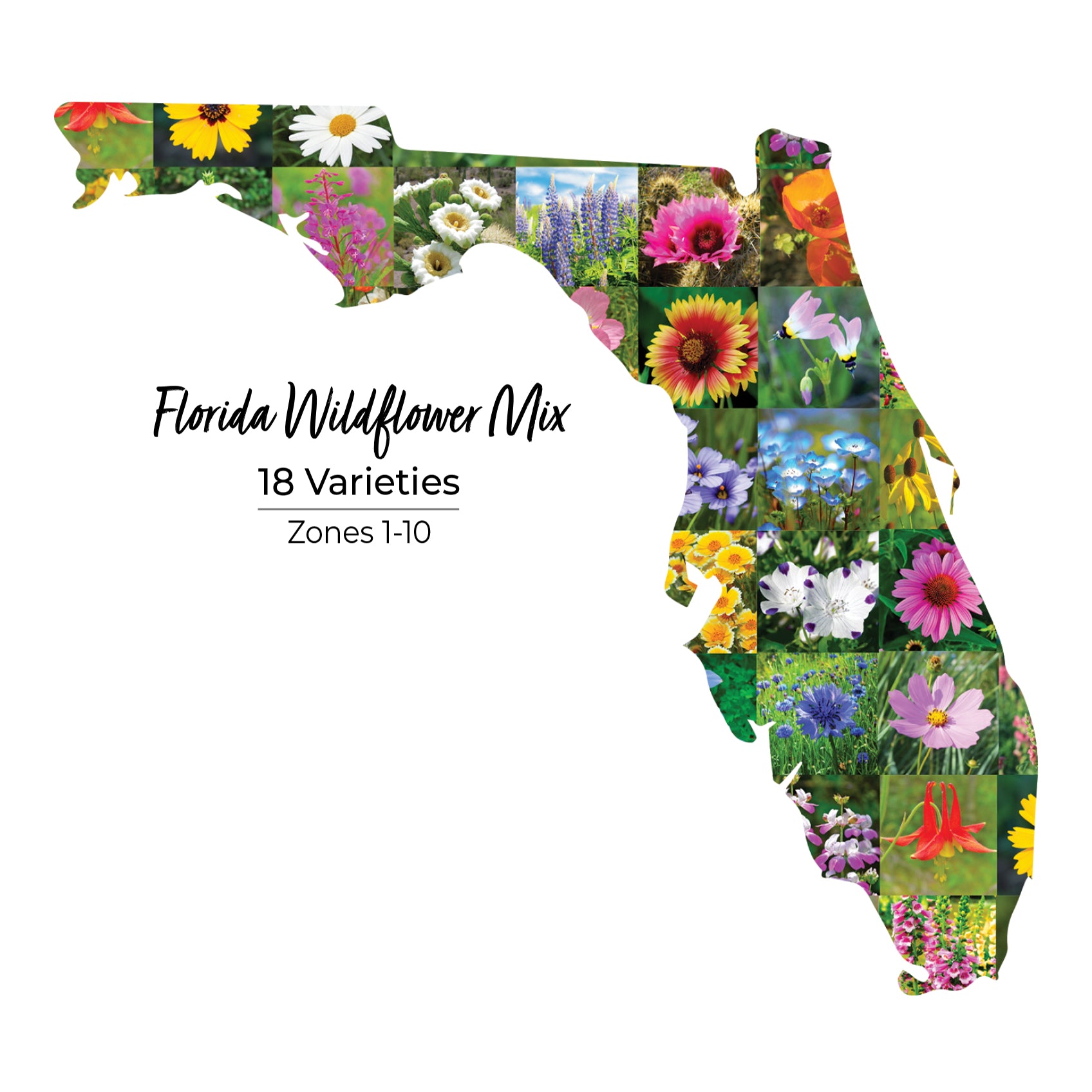 Florida wildflower mix