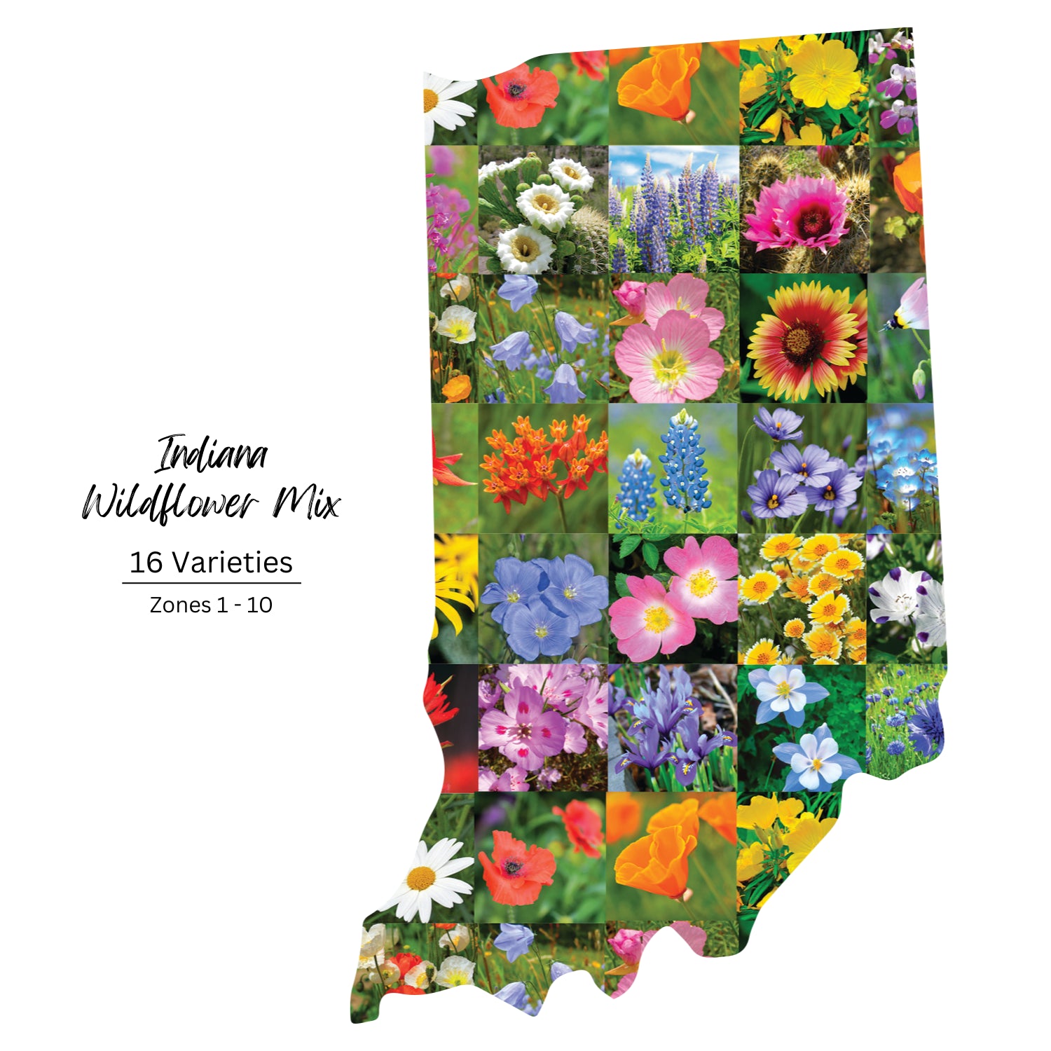 Indiana Wildflower Seeds | Created By Nature