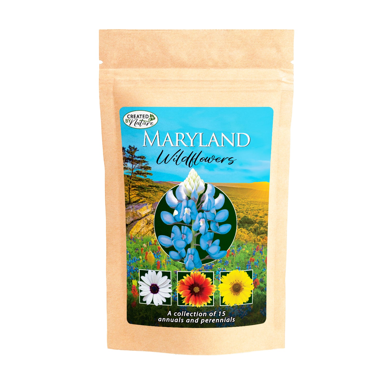 Maryland wildflower seeds