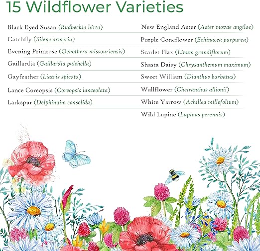 wildflower varieties in Maryland wildflower seed mix