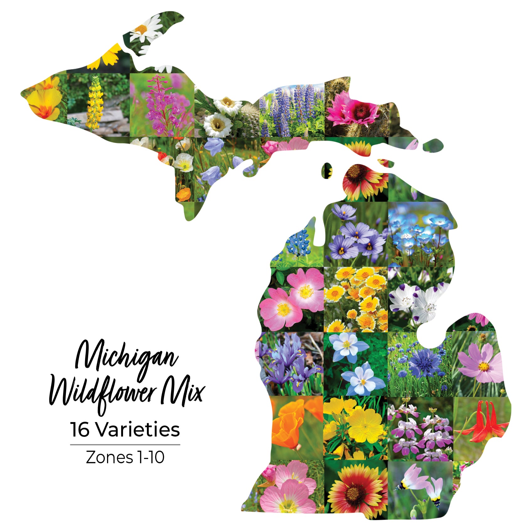 Michigan Wildflower Seeds