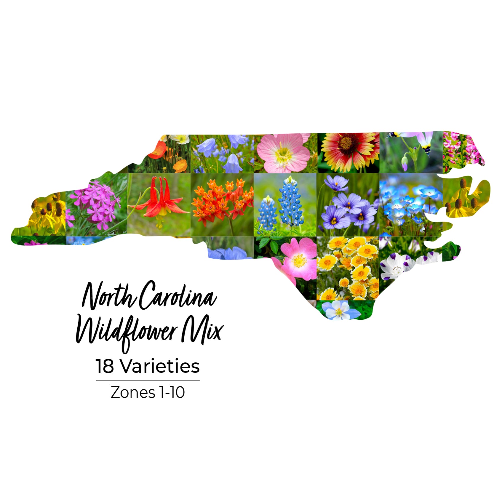 North Carolina Wildflower Seeds