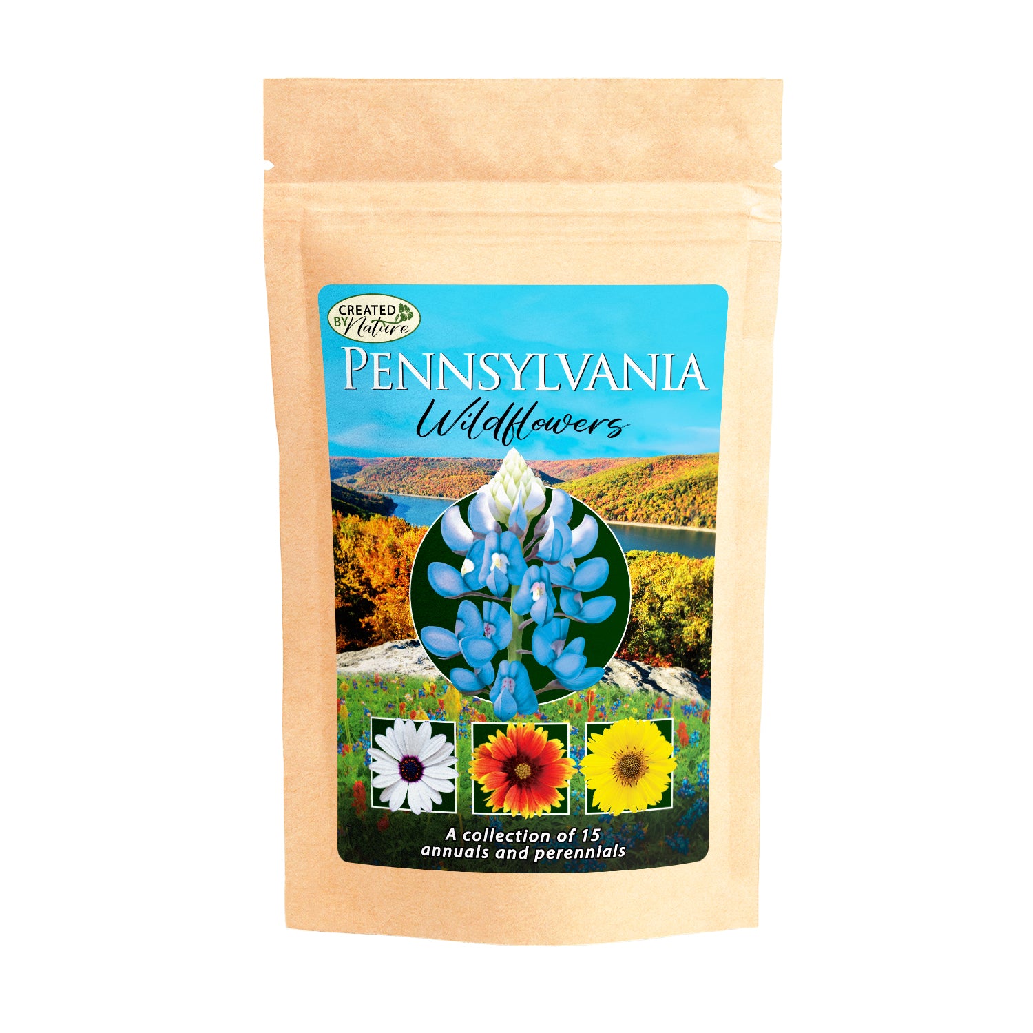 Pennsylvania Wildflower seed Mix