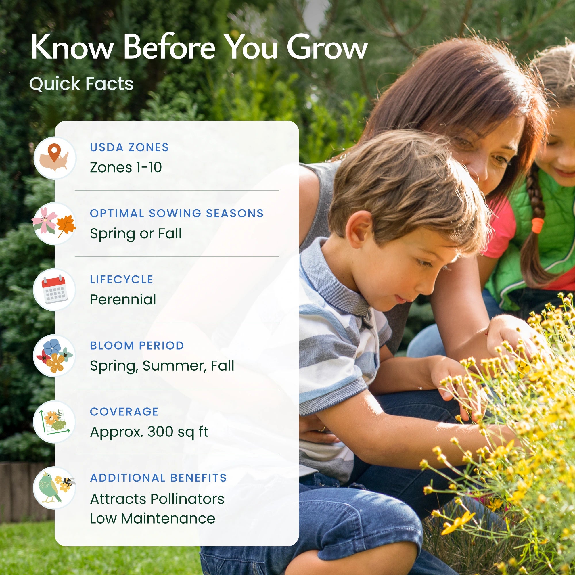 wildflower seed planting time All Perennial Wildflower Seed Mix