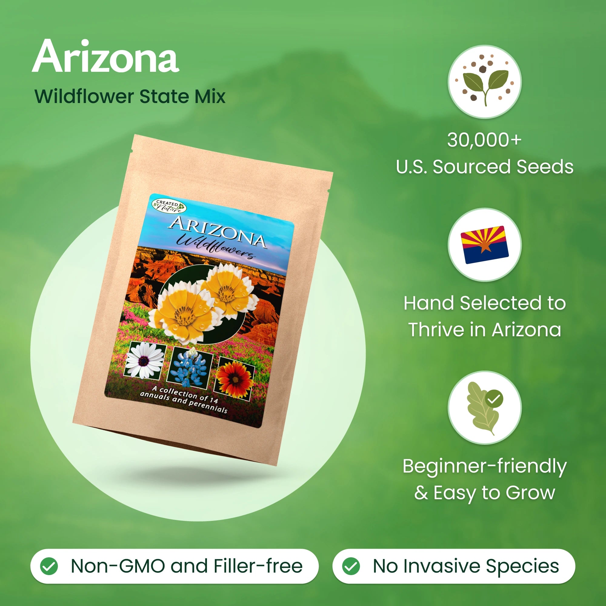non invasive wildflower seeds Arizona Wildflower Seed Mix