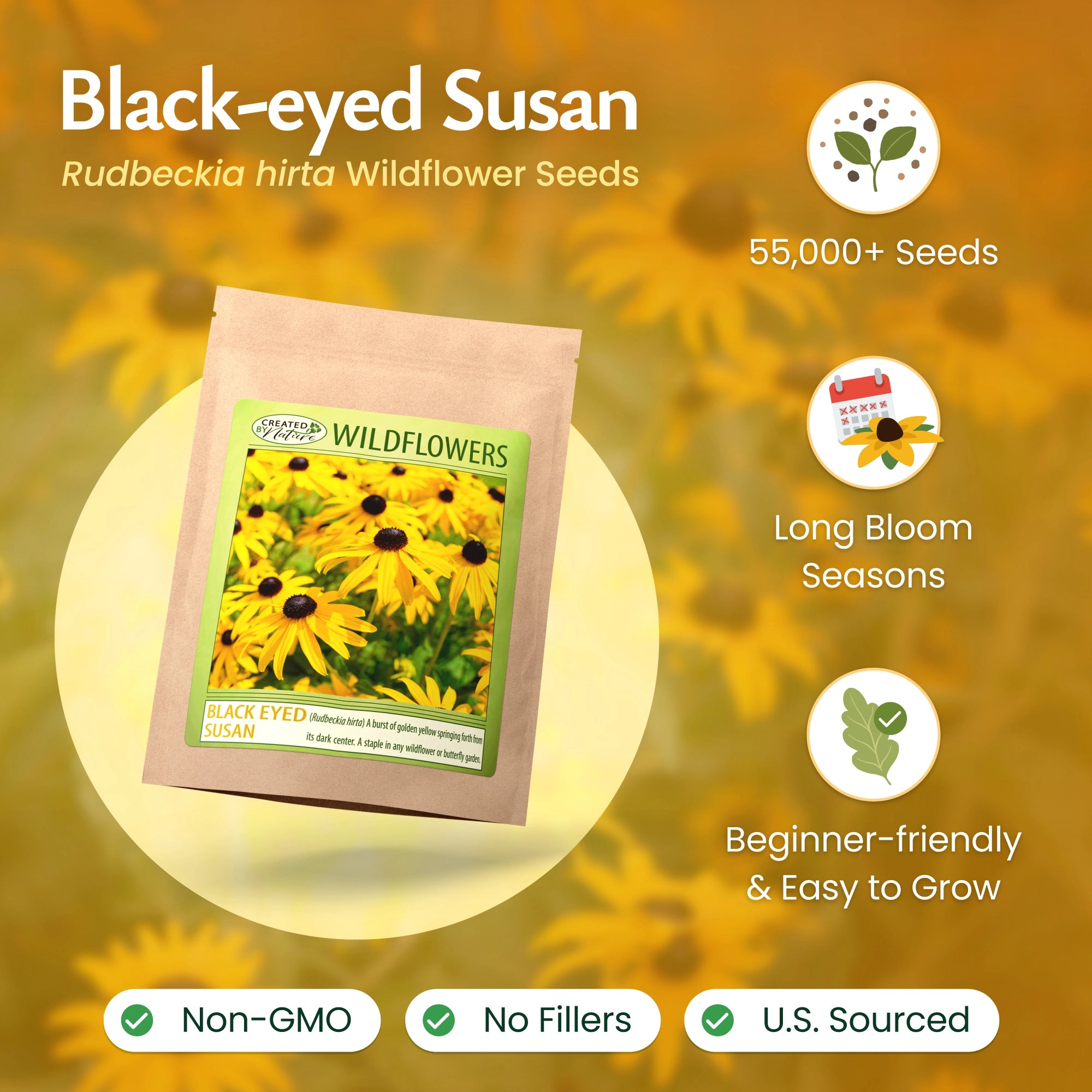 planting black eyed susan seeds Black Eyed Susan Wildflower Seeds