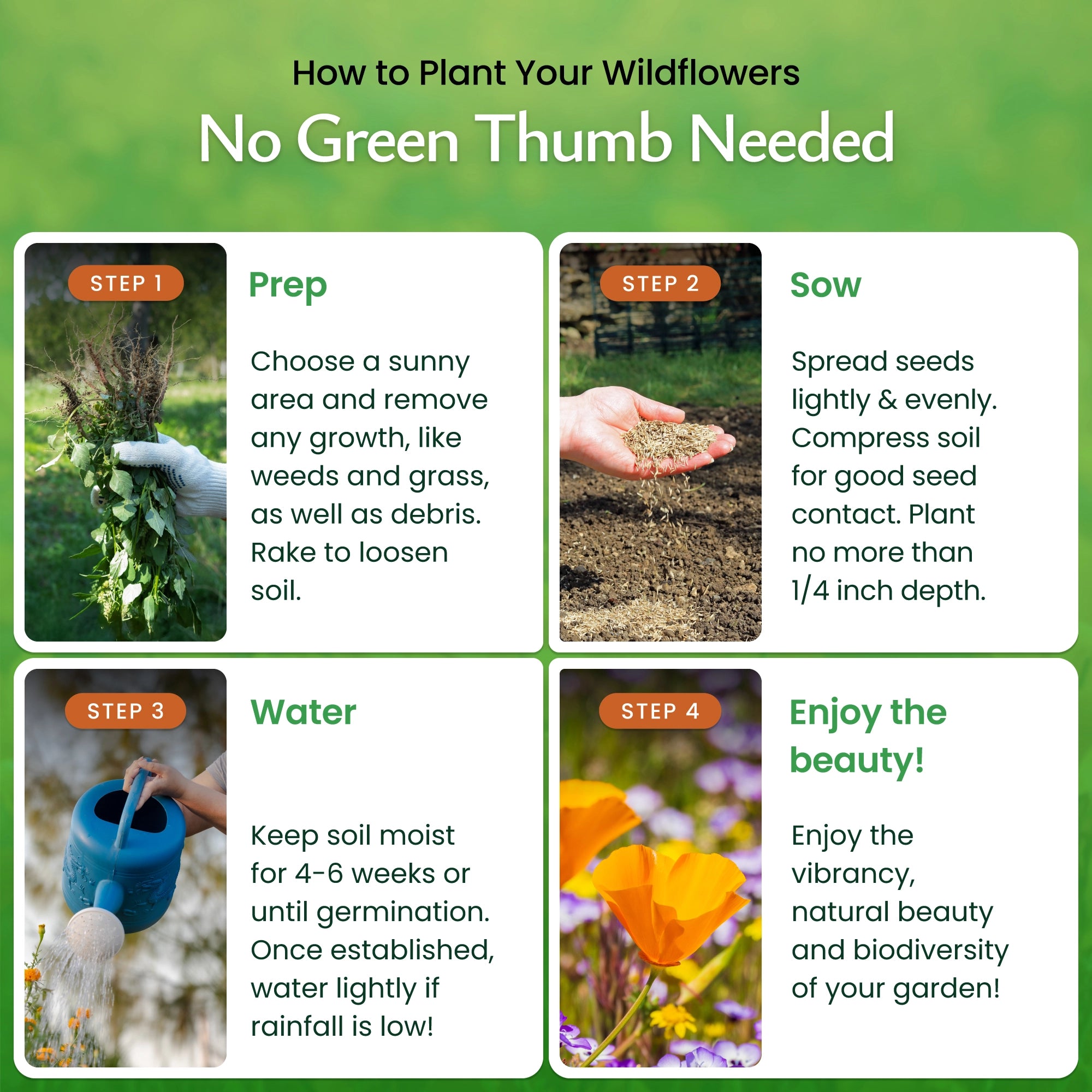 planting mixed wildflower seeds California Wildflower Seed Mix