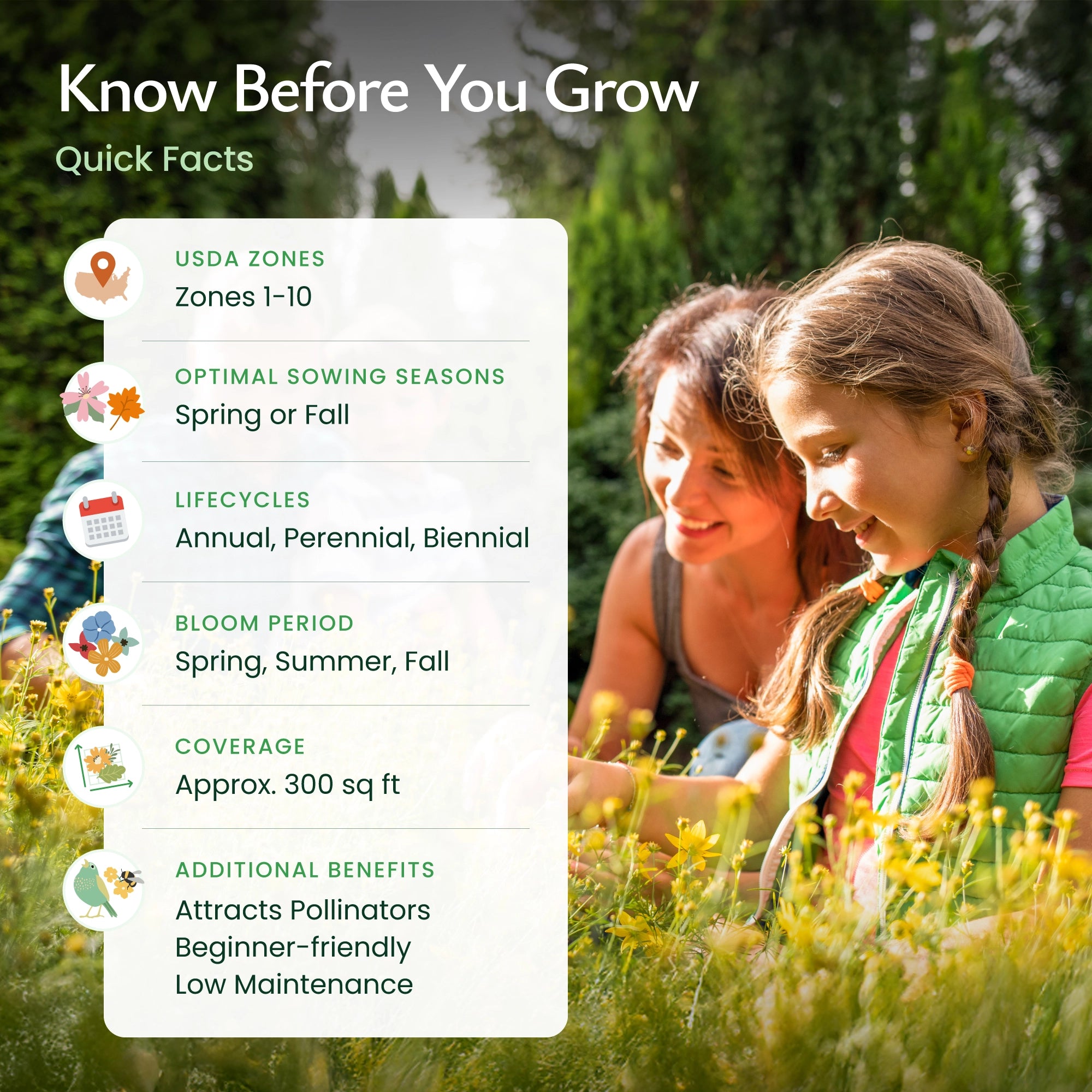 Quick Facts about California Wildflowers and our Seed Mix