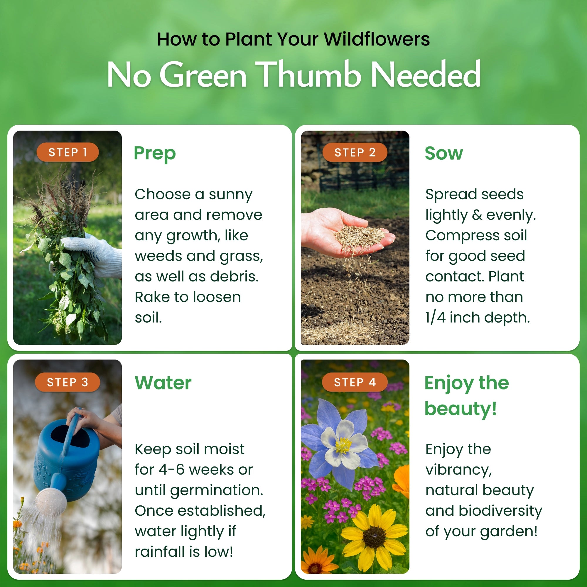 How to plant Colorado Wildflower Seeds