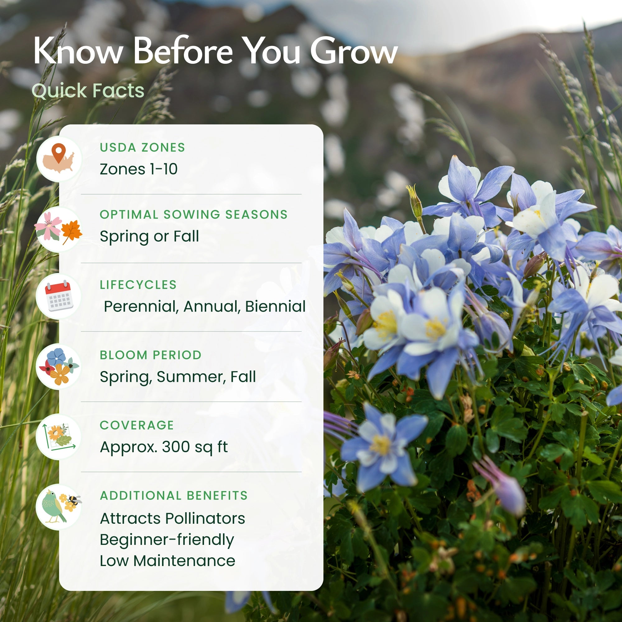 Quick Facts about Colorado Wildflowers and our Seed Mix