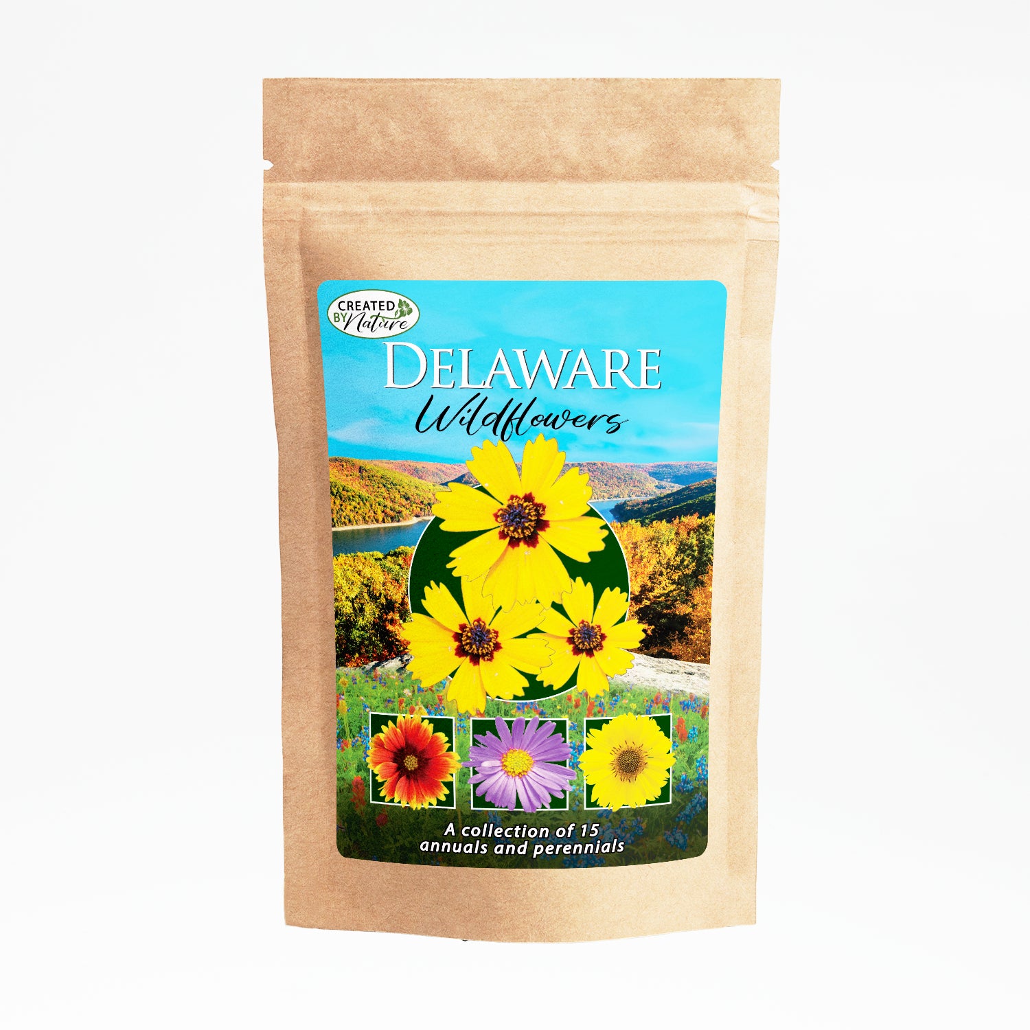 Delaware Wildflower Seed Mix | Wildflower Seeds for Delaware