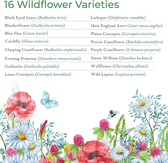 flower varieties in the Iowa wildflower seed mix