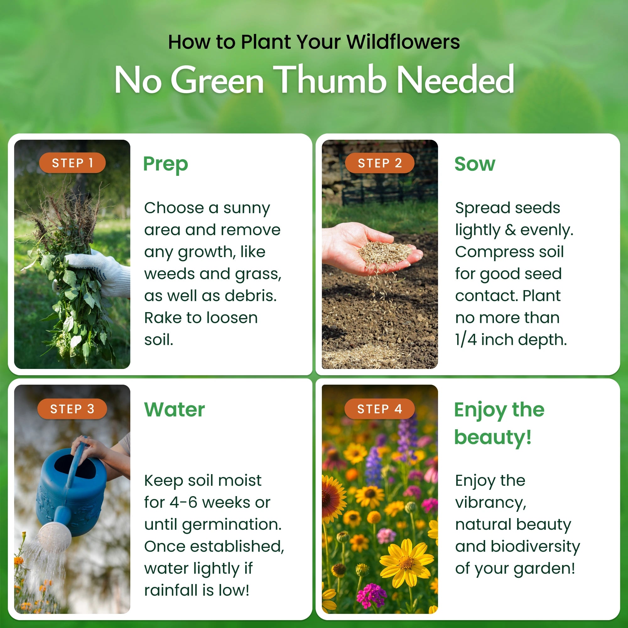 Minnesota Wildflower Seed Mix