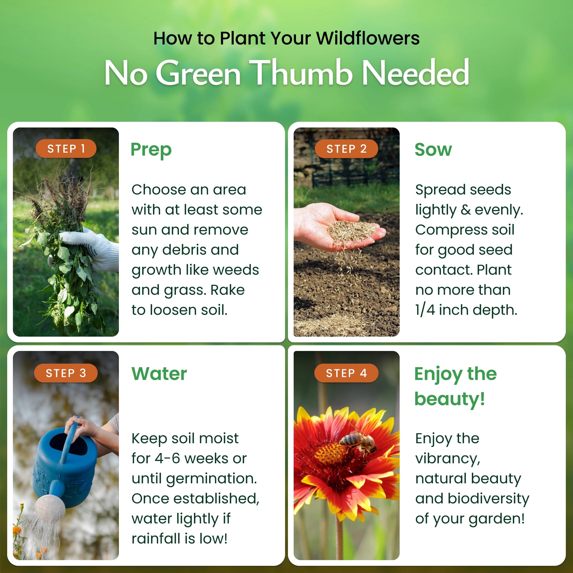 flower seeds part shade Created By Nature Partial Shade Wildflower Seed Mix, 11 Flower Varieties, 37,000 Seeds