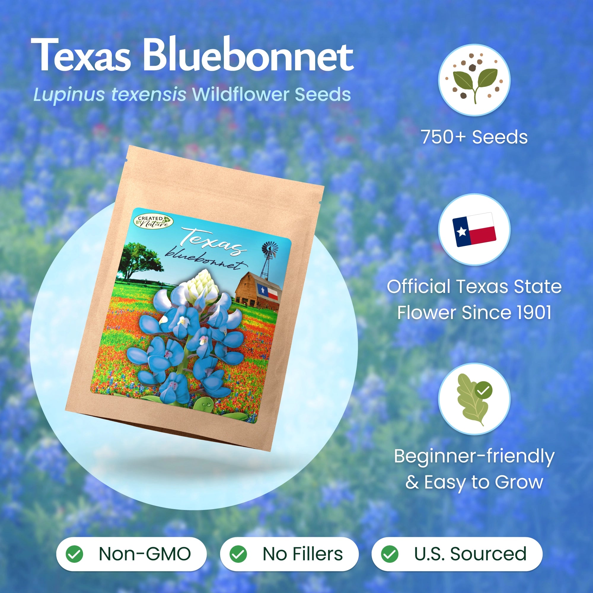 bluebonnet flower seeds Texas Bluebonnet Wildflower Seeds