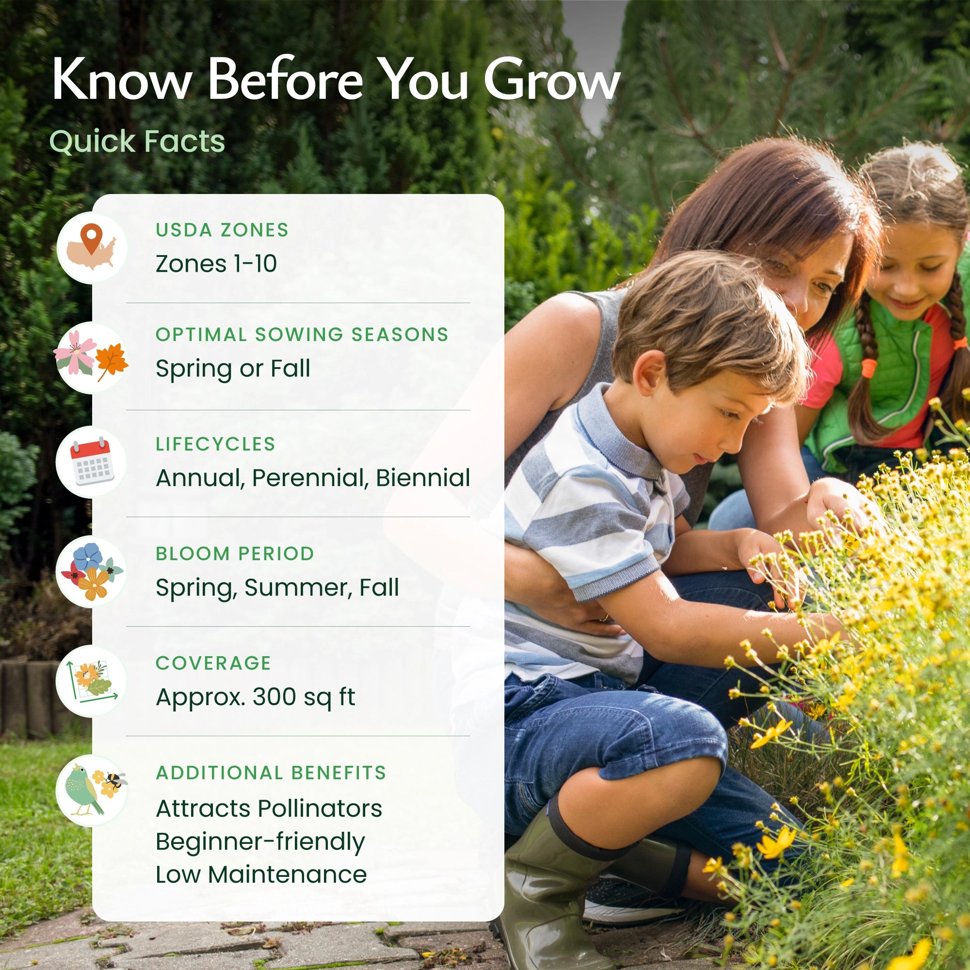 Texas Wildflower Seed Mix