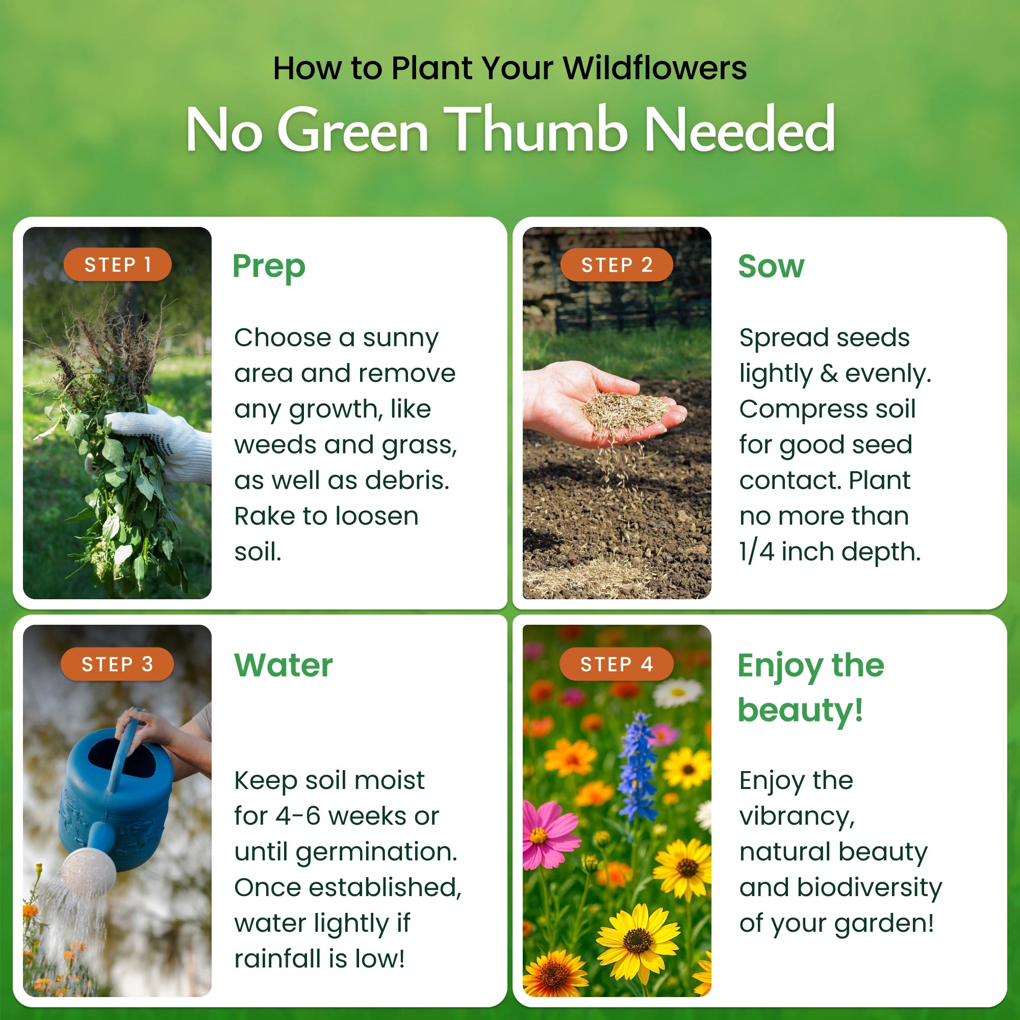 How to plant Virginia Wildflower Seeds