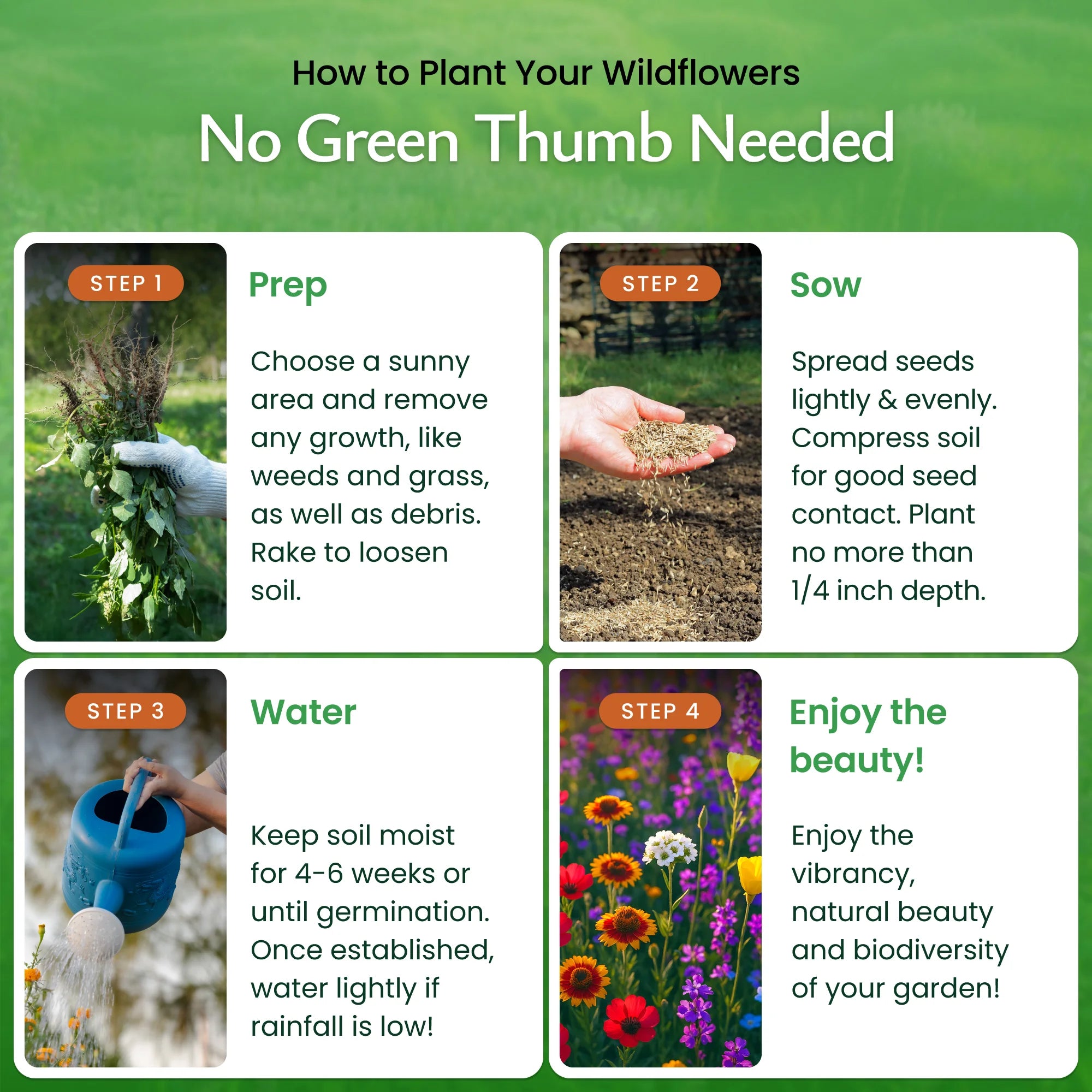 How to plant Washington Wildflower Seeds