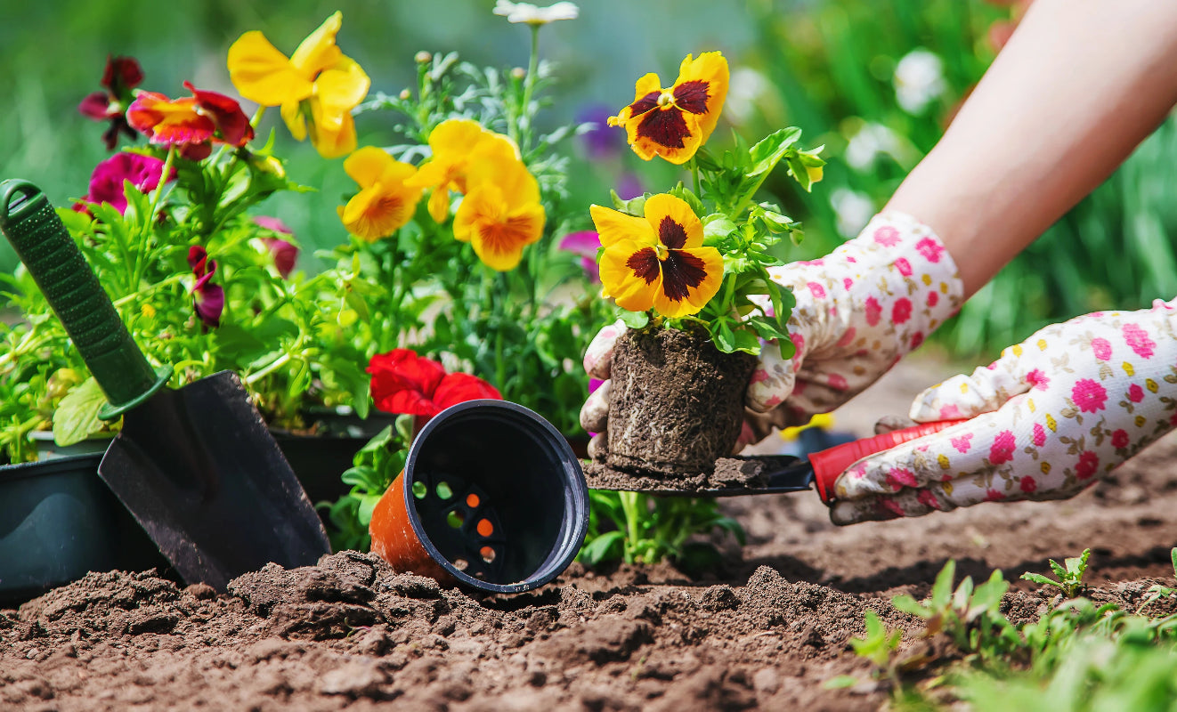 Spring Planting Visual Wildflower Planting Guides & Resources | Created By Nature