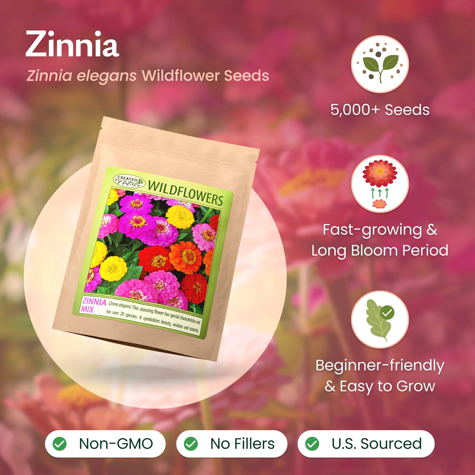 California Giant Zinnia Wildflower Seeds | Big Summer Color