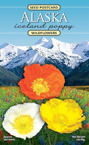 Iceland Poppy Seed Packet