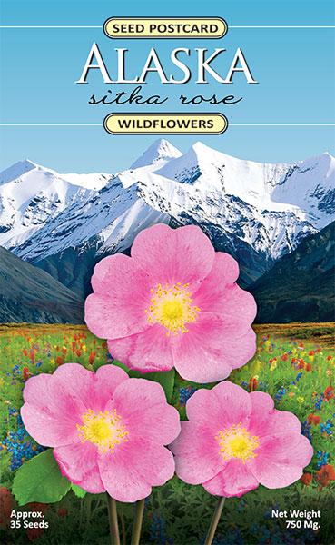 Alaska wild rose seed packet